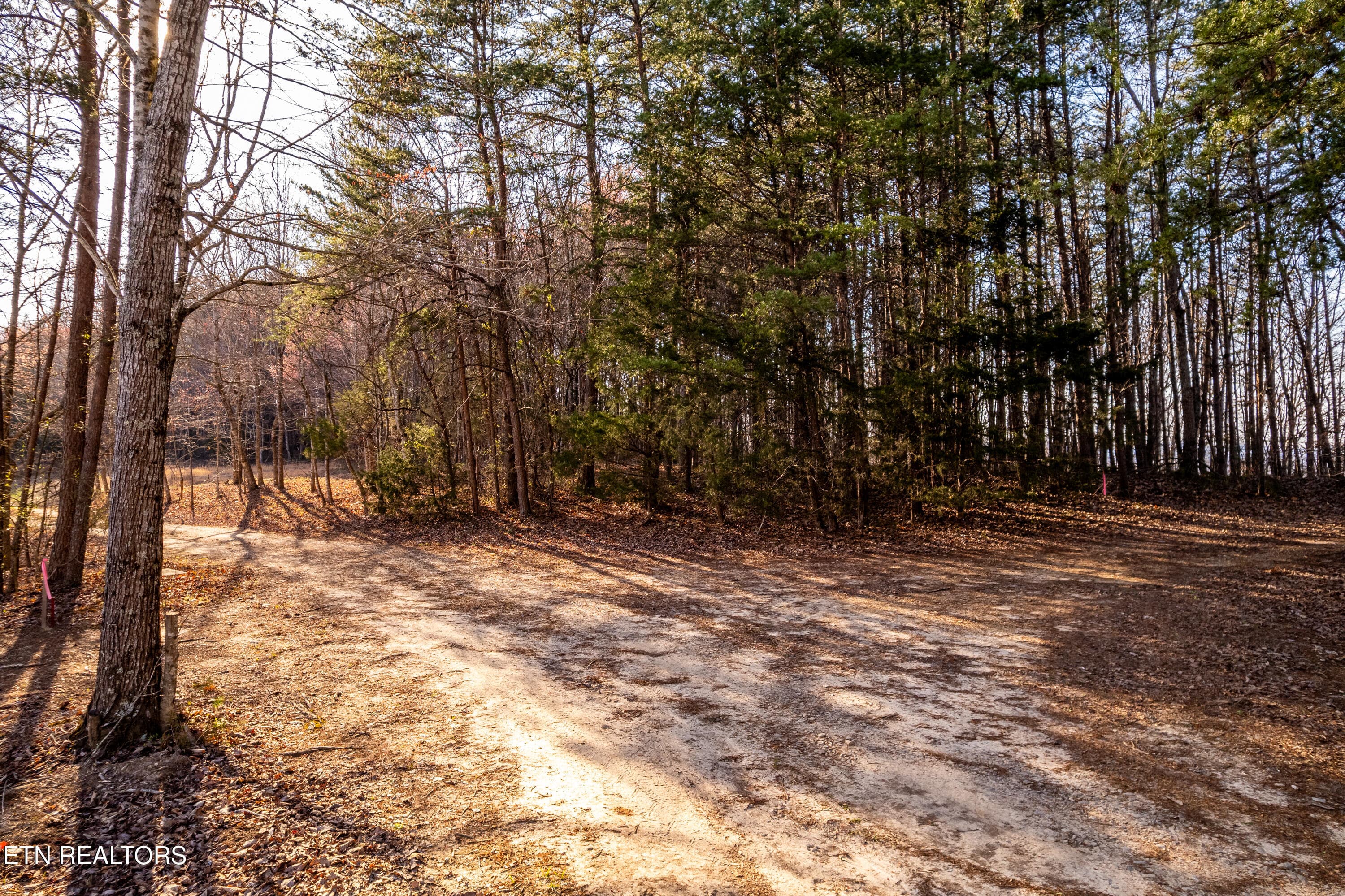 184BadgerRd-30 - 132 Badger Rd, Madisonville, TN 37354