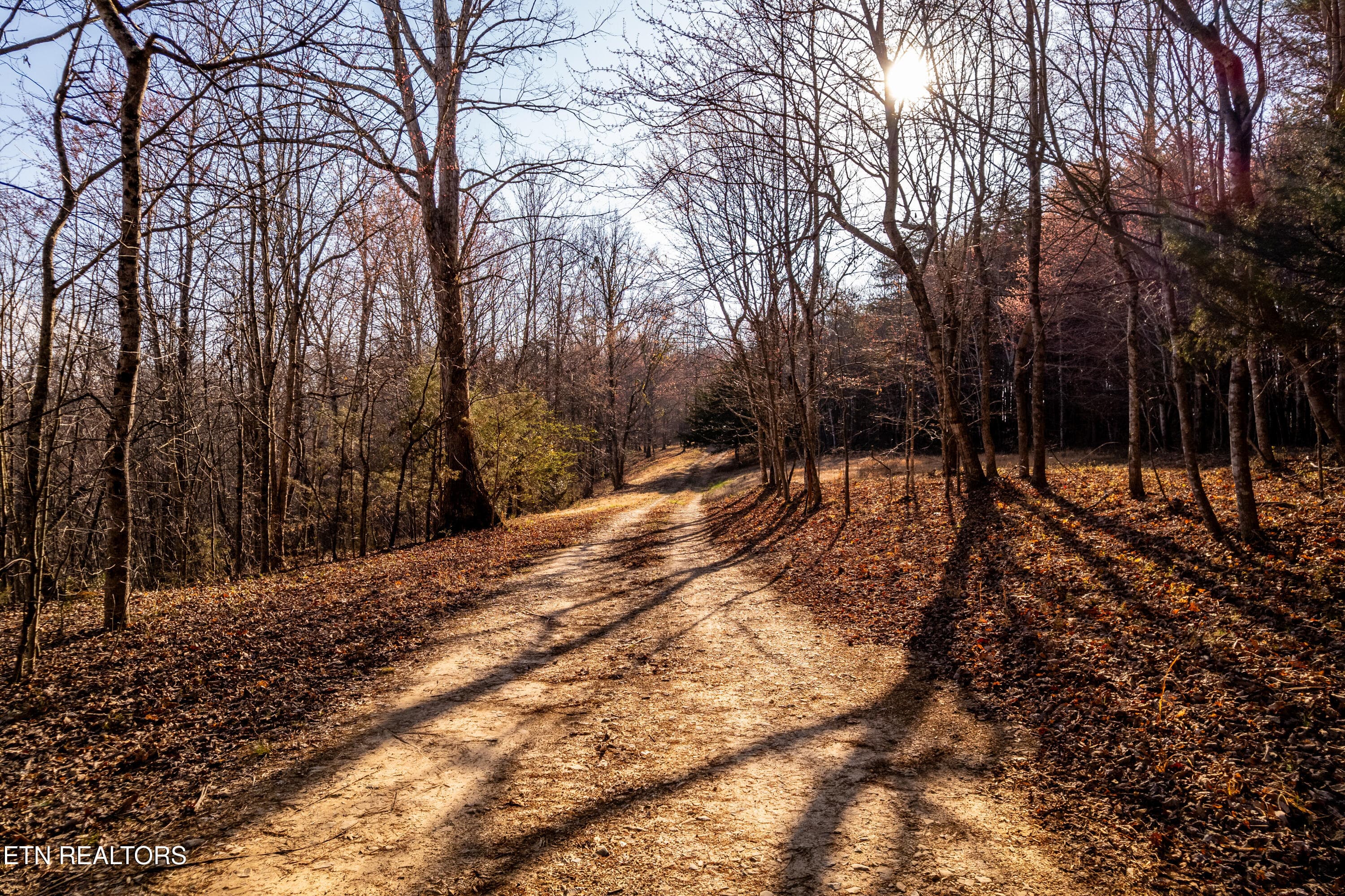 184BadgerRd-31 - 132 Badger Rd, Madisonville, TN 37354