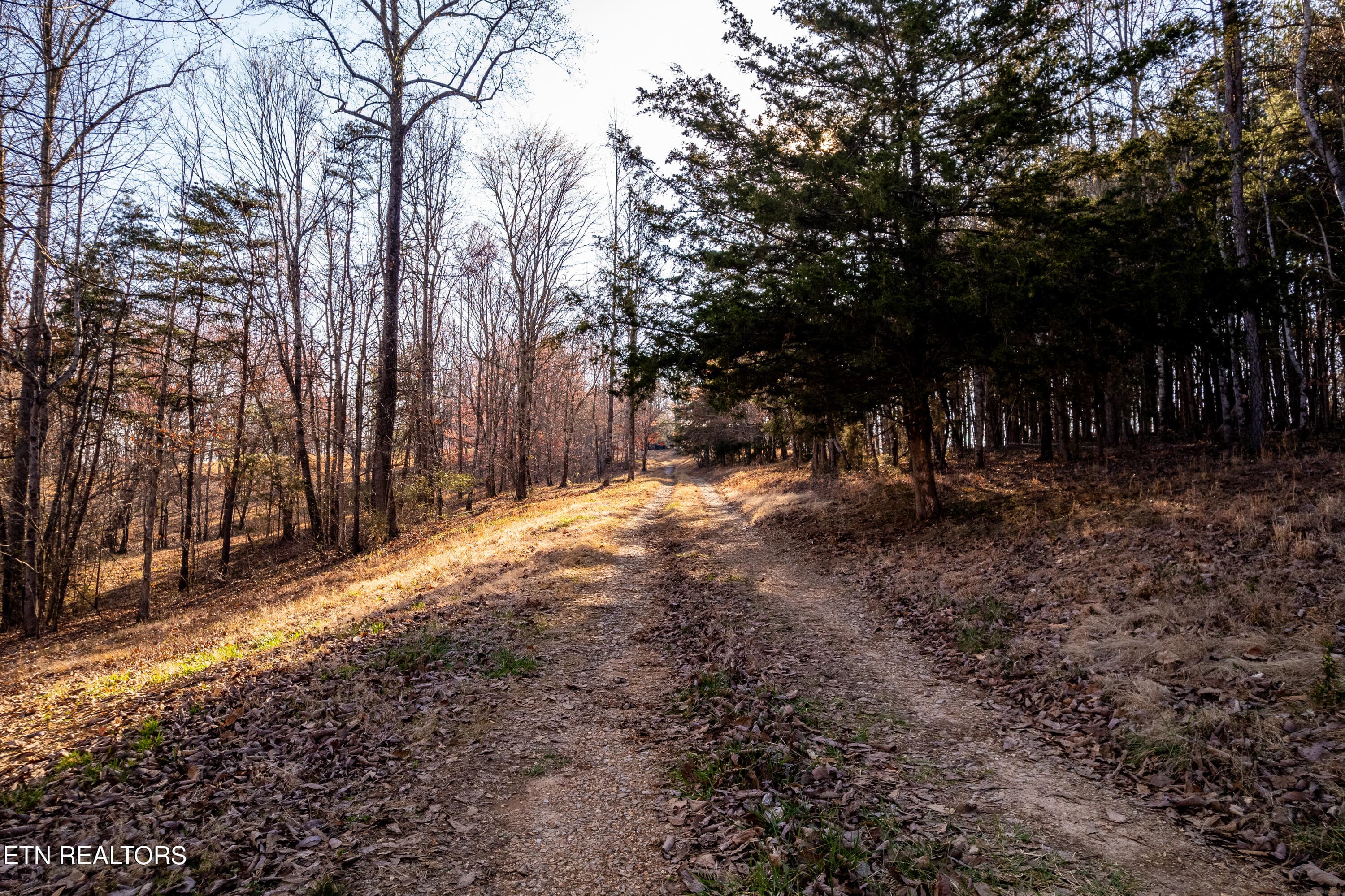 184BadgerRd-32 - 132 Badger Rd, Madisonville, TN 37354