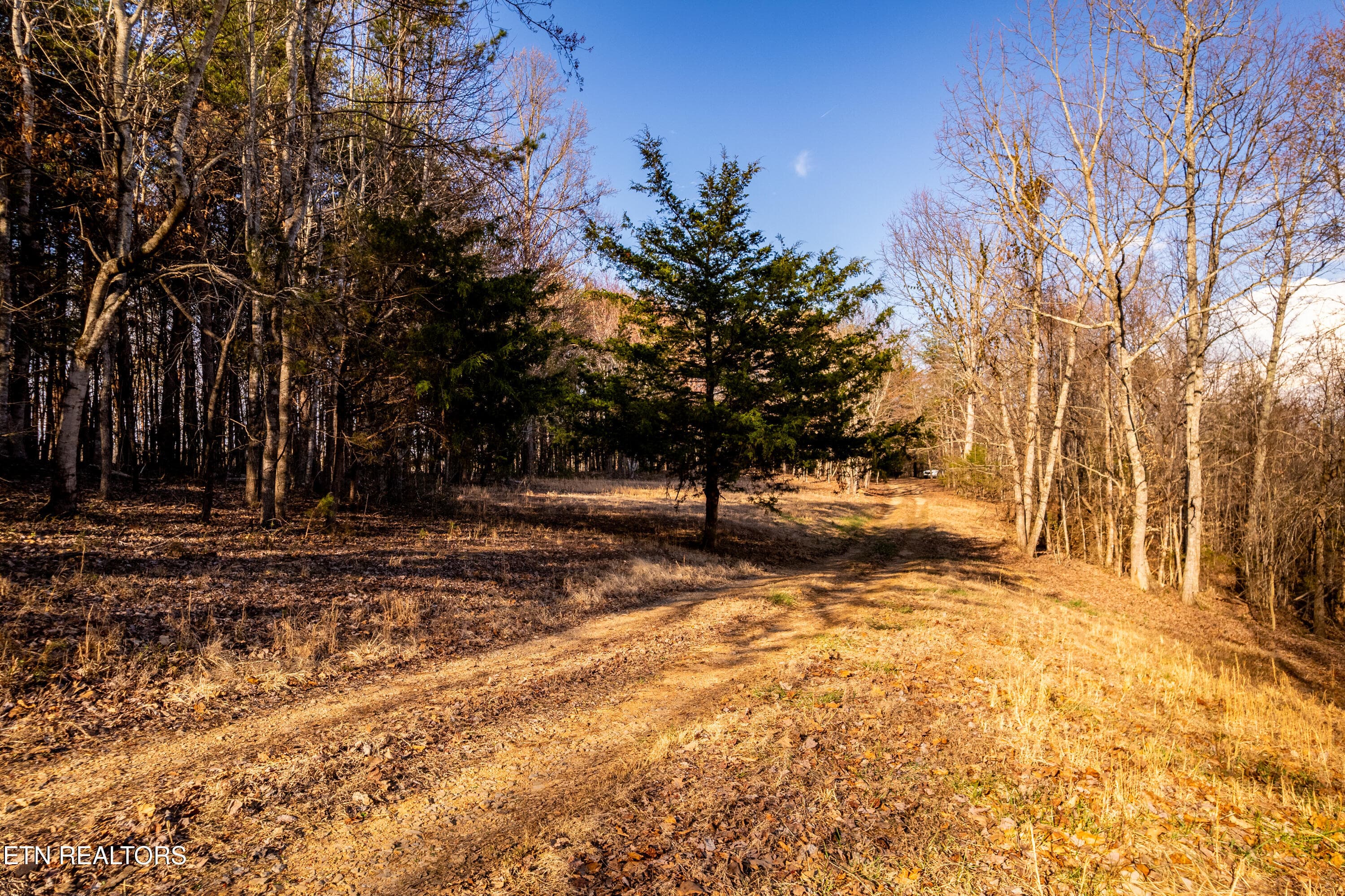 184BadgerRd-33 - 132 Badger Rd, Madisonville, TN 37354