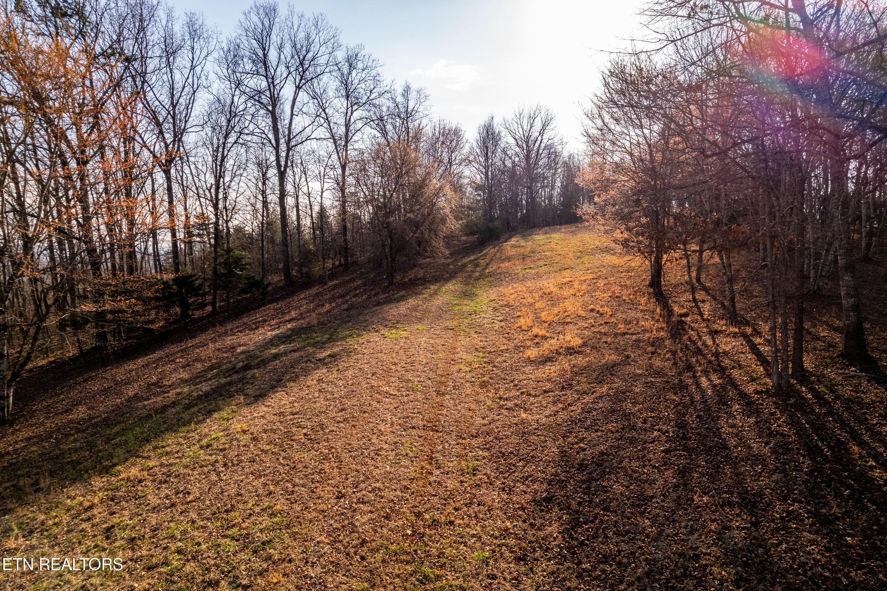 184BadgerRd-43 - 132 Badger Rd, Madisonville, TN 37354