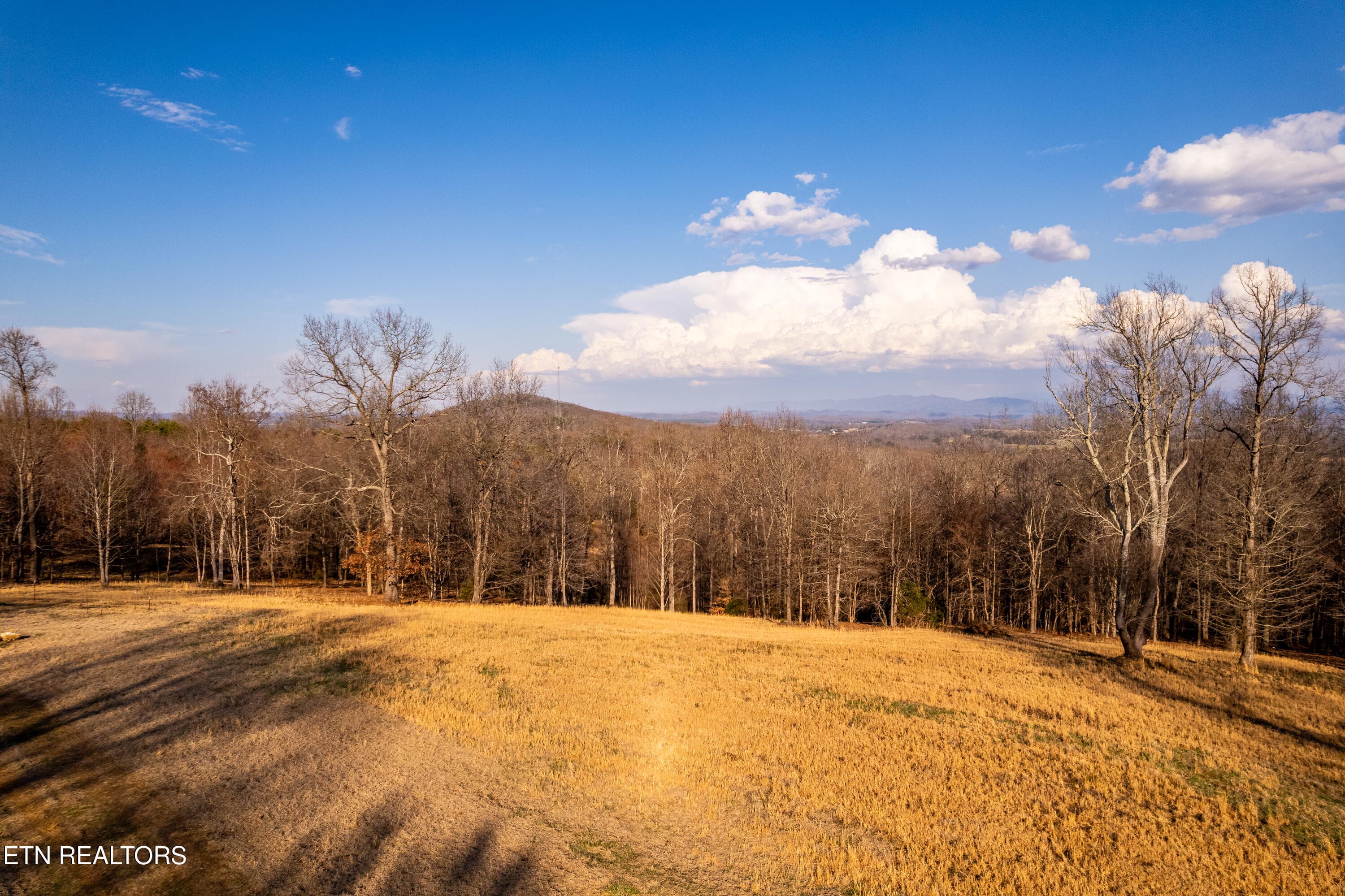 184BadgerRd-45 - 132 Badger Rd, Madisonville, TN 37354