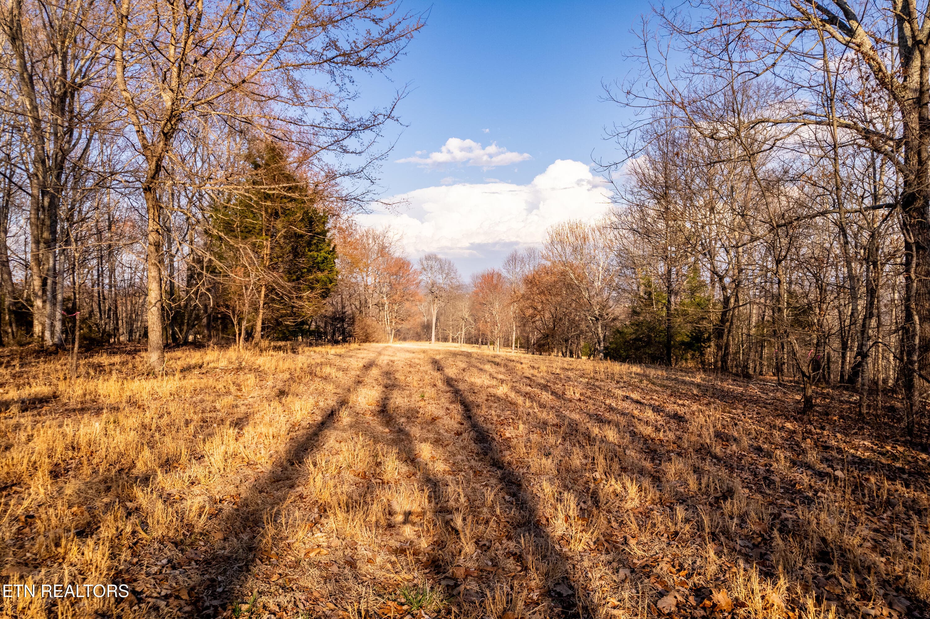 184BadgerRd-48 - 132 Badger Rd, Madisonville, TN 37354