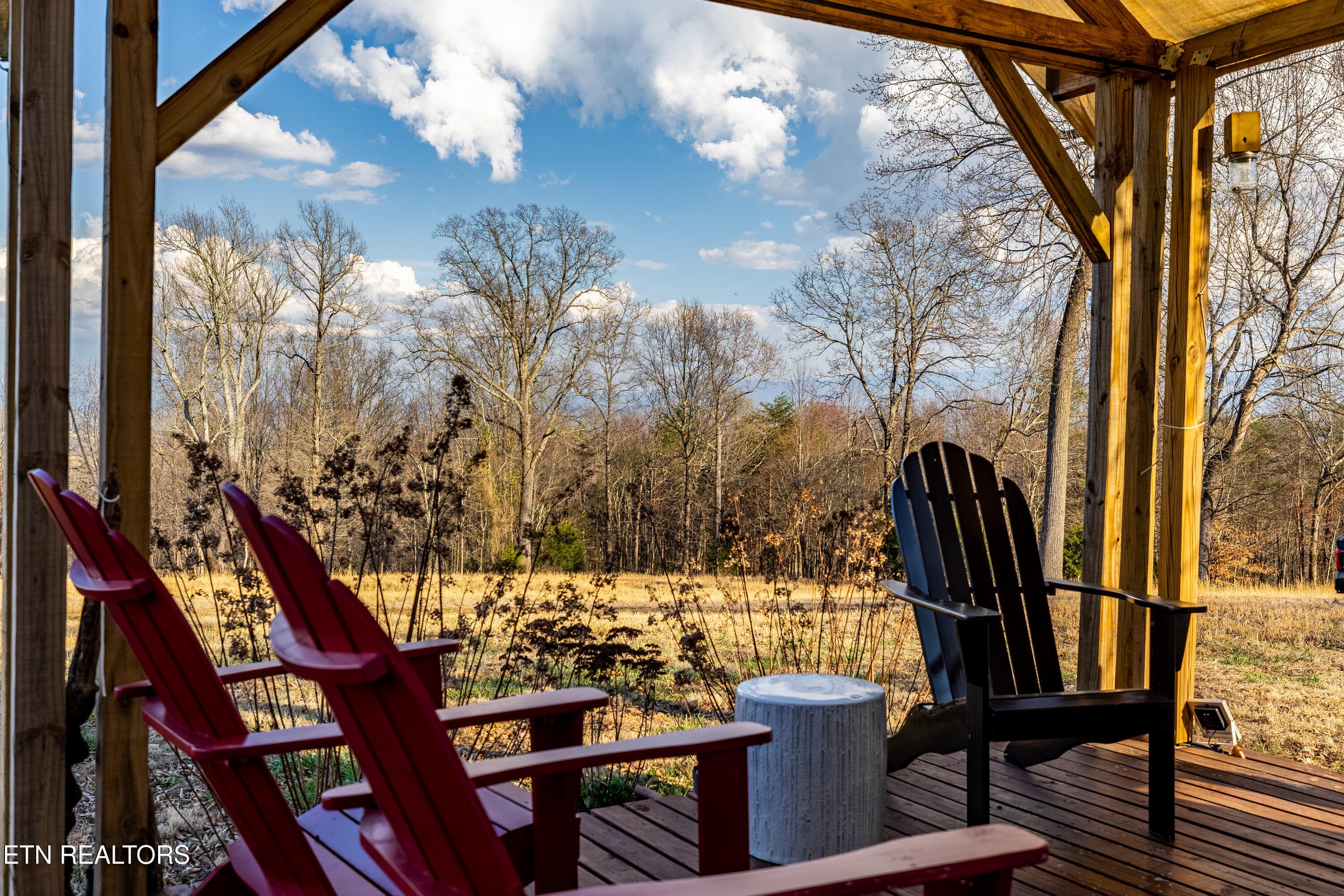 184BadgerRd-54 - 132 Badger Rd, Madisonville, TN 37354