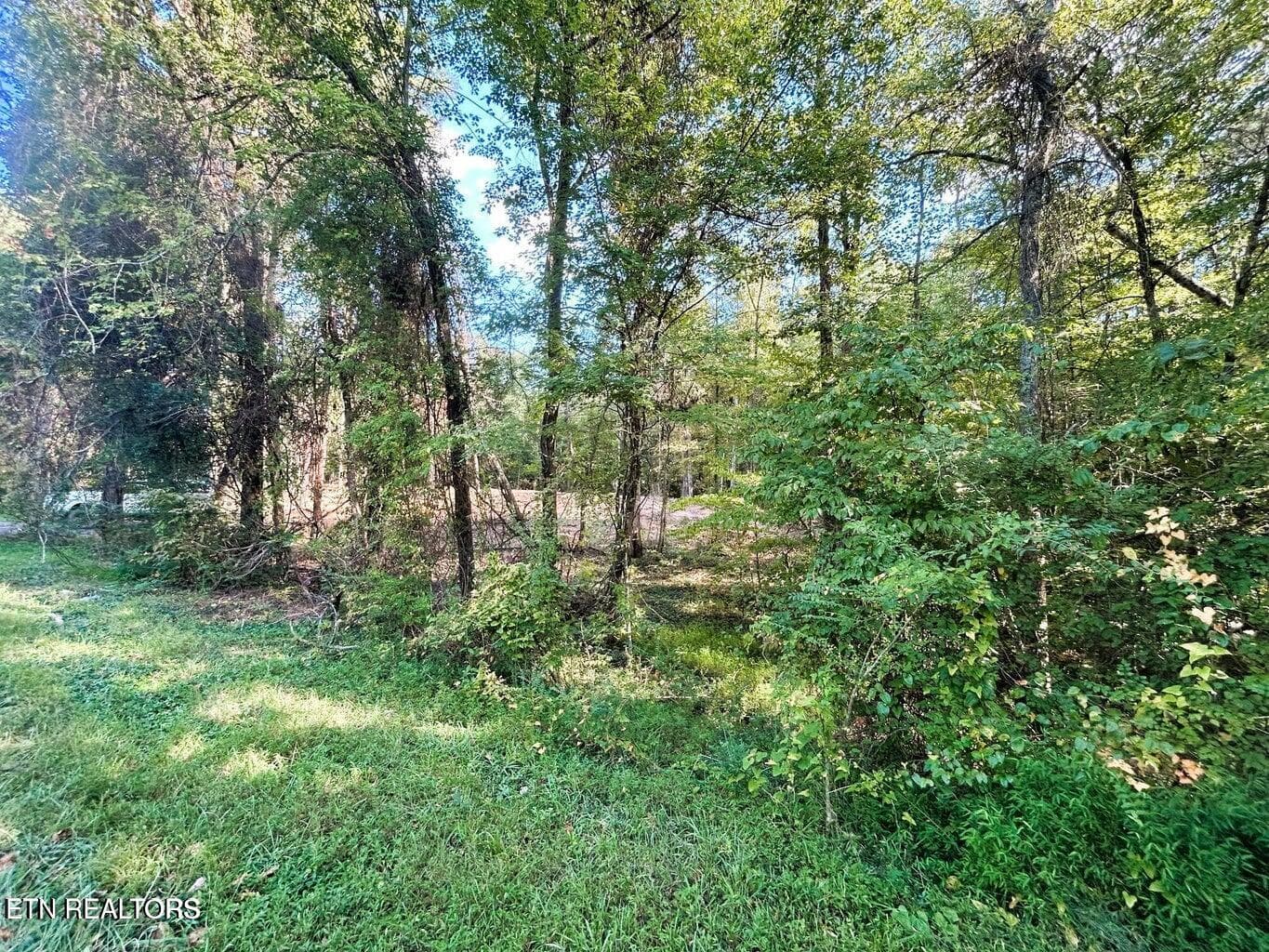 Tract 1 PH road front - 5.5 acres Pleasant Hill Rd, Ten Mile, TN 37880