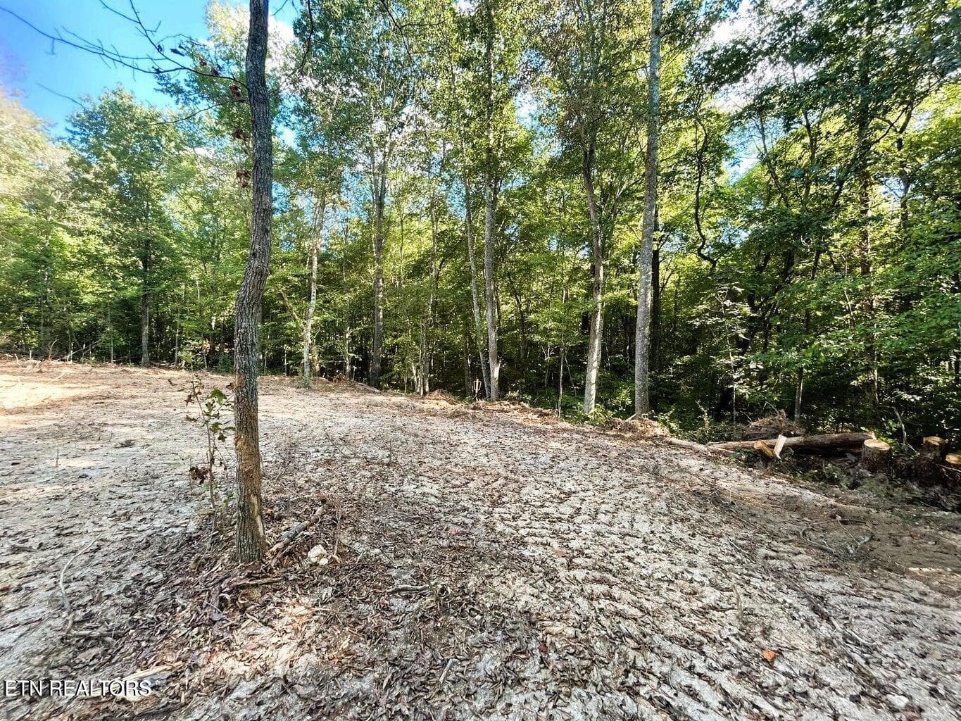 Tract 1 PH 4 - 5.5 acres Pleasant Hill Rd, Ten Mile, TN 37880