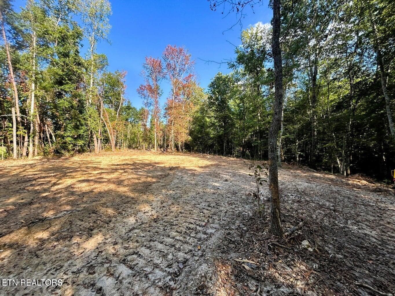 tract 1 PH 3 - 5.5 acres Pleasant Hill Rd, Ten Mile, TN 37880
