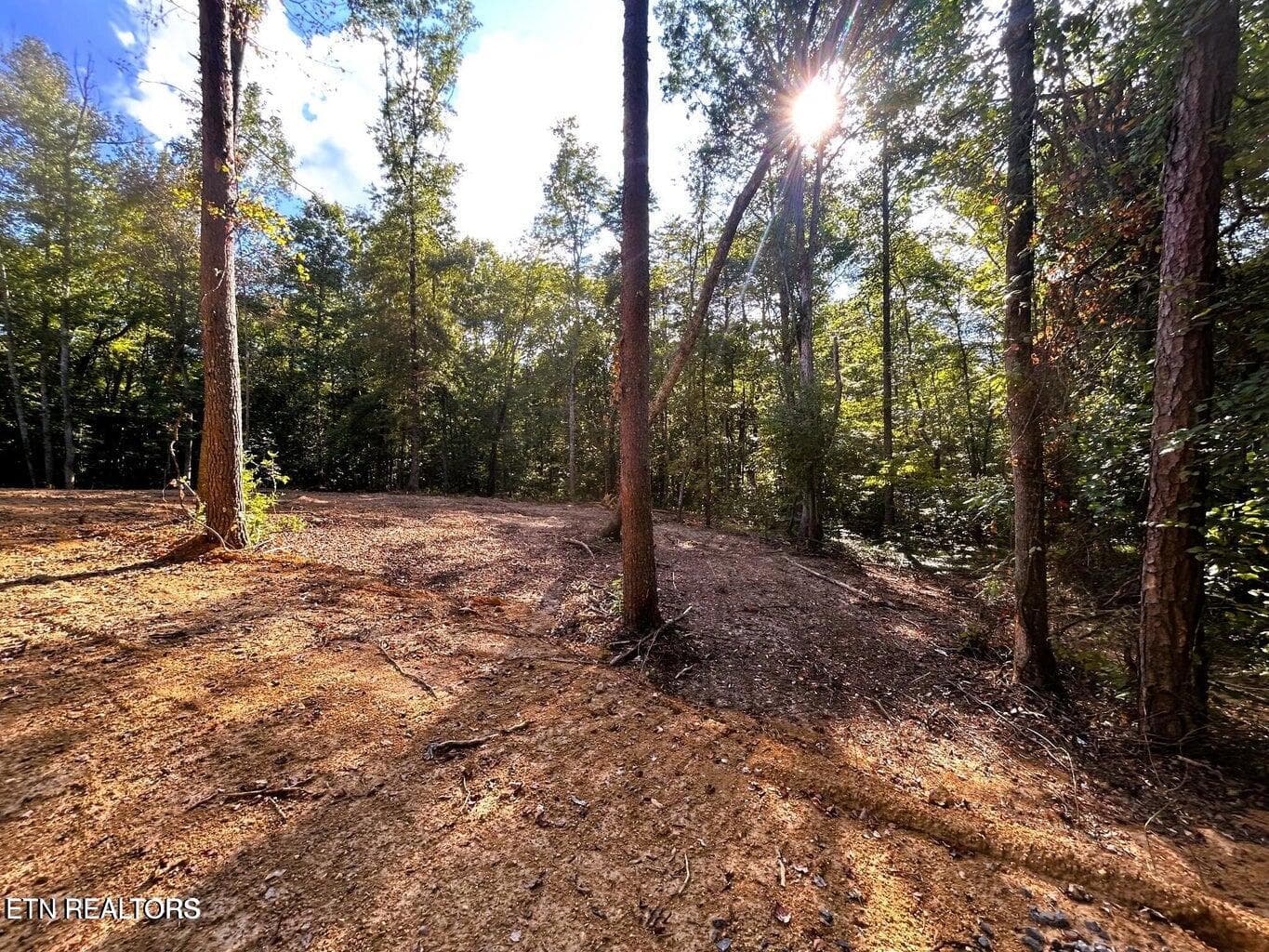 Tract 1 PH 2 - 5.5 acres Pleasant Hill Rd, Ten Mile, TN 37880
