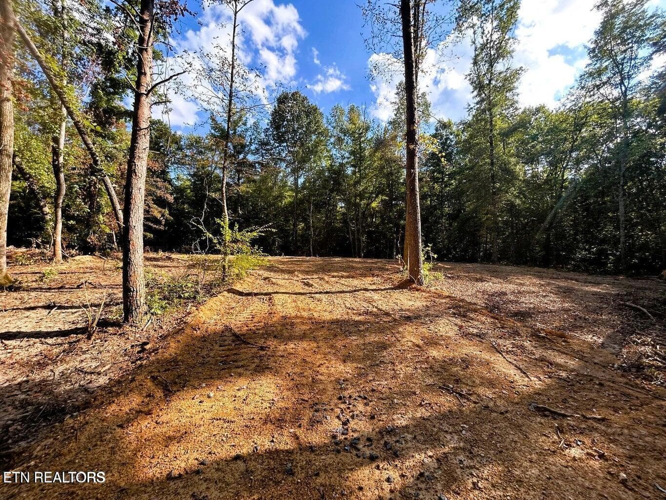 5.5 acres Pleasant Hill Rd, Ten Mile, TN 37880