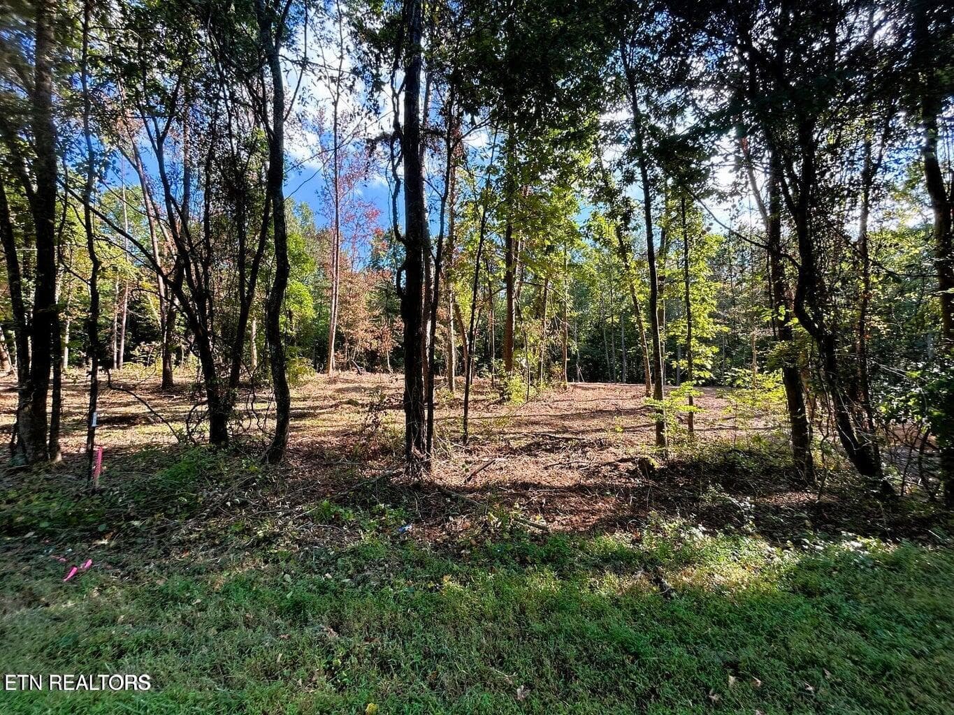 Tract 1 PH - 5.5 acres Pleasant Hill Rd, Ten Mile, TN 37880
