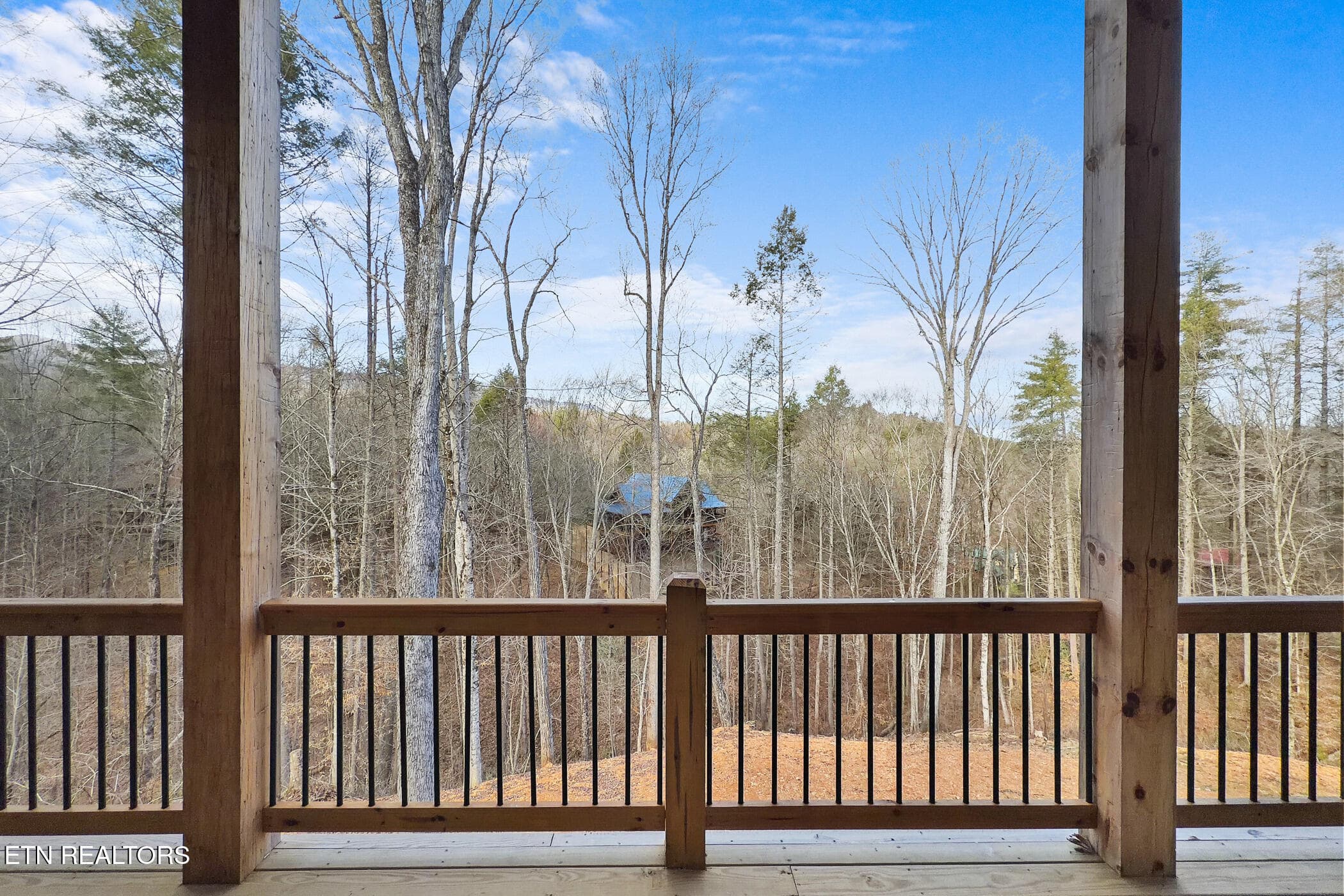 img_6161 - 2749 Owls Cove Way, Sevierville, TN 37862