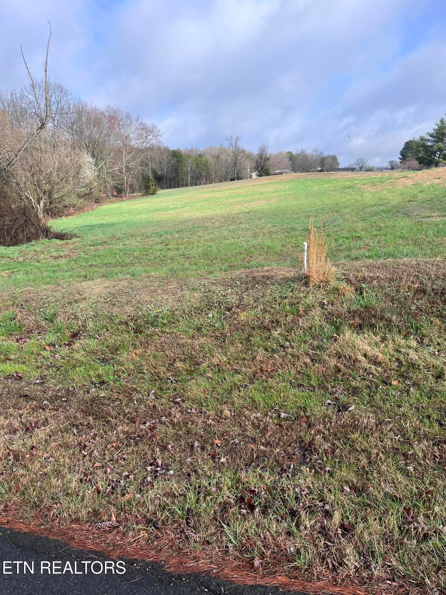 IMG_6430 - Mountain View Lane, Baneberry, TN 37890