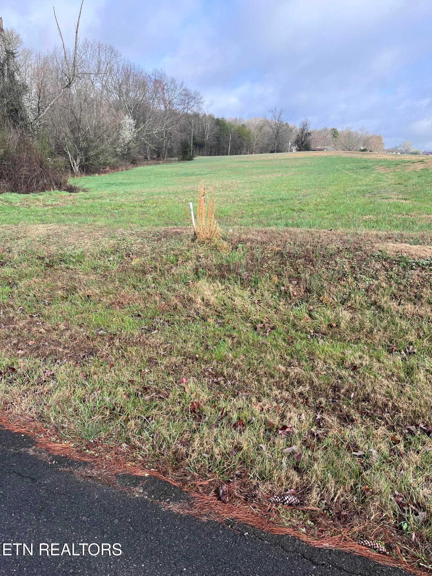IMG_6431 - Mountain View Lane, Baneberry, TN 37890