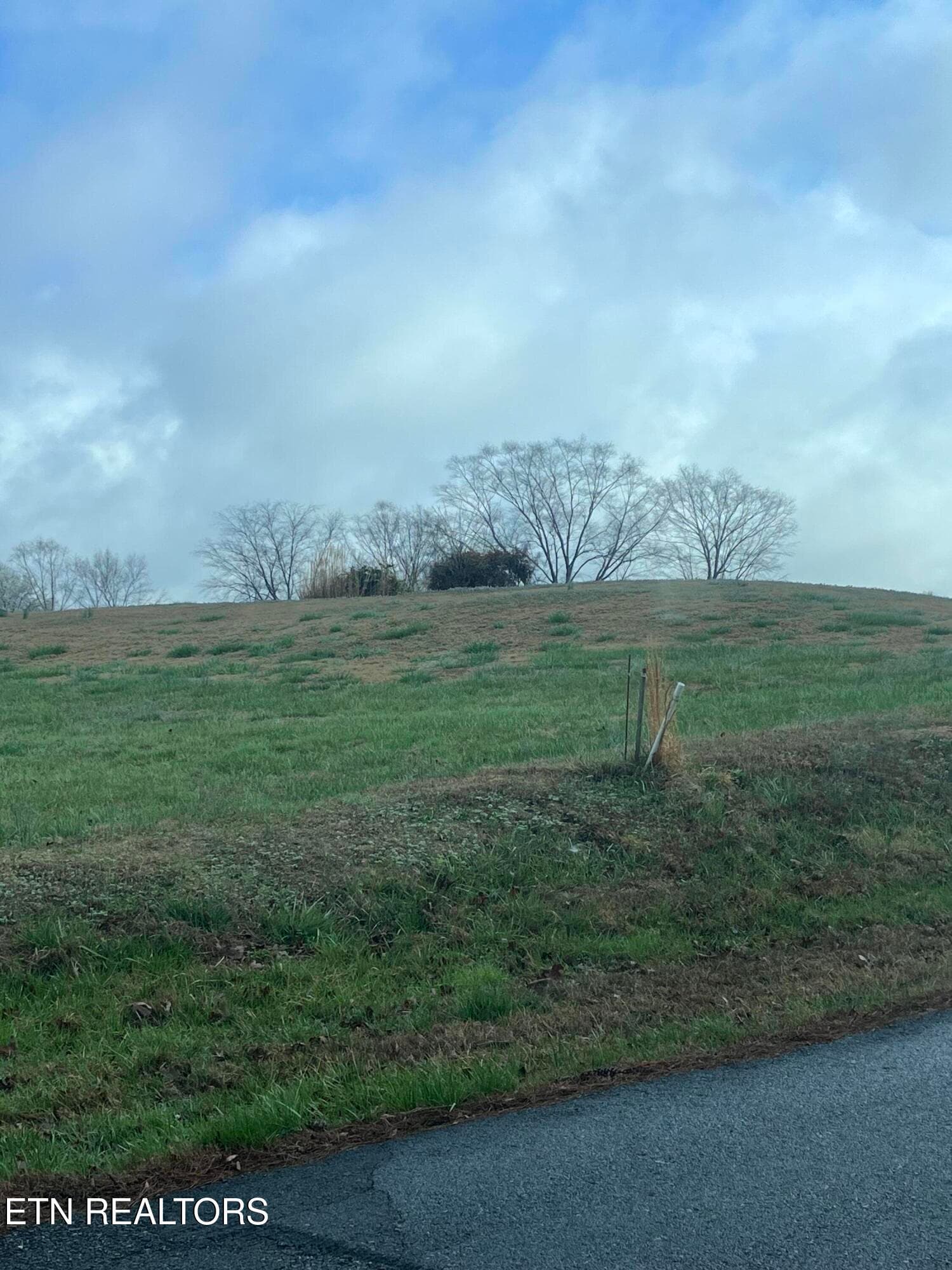 IMG_6429 - Mountain View Lane, Baneberry, TN 37890