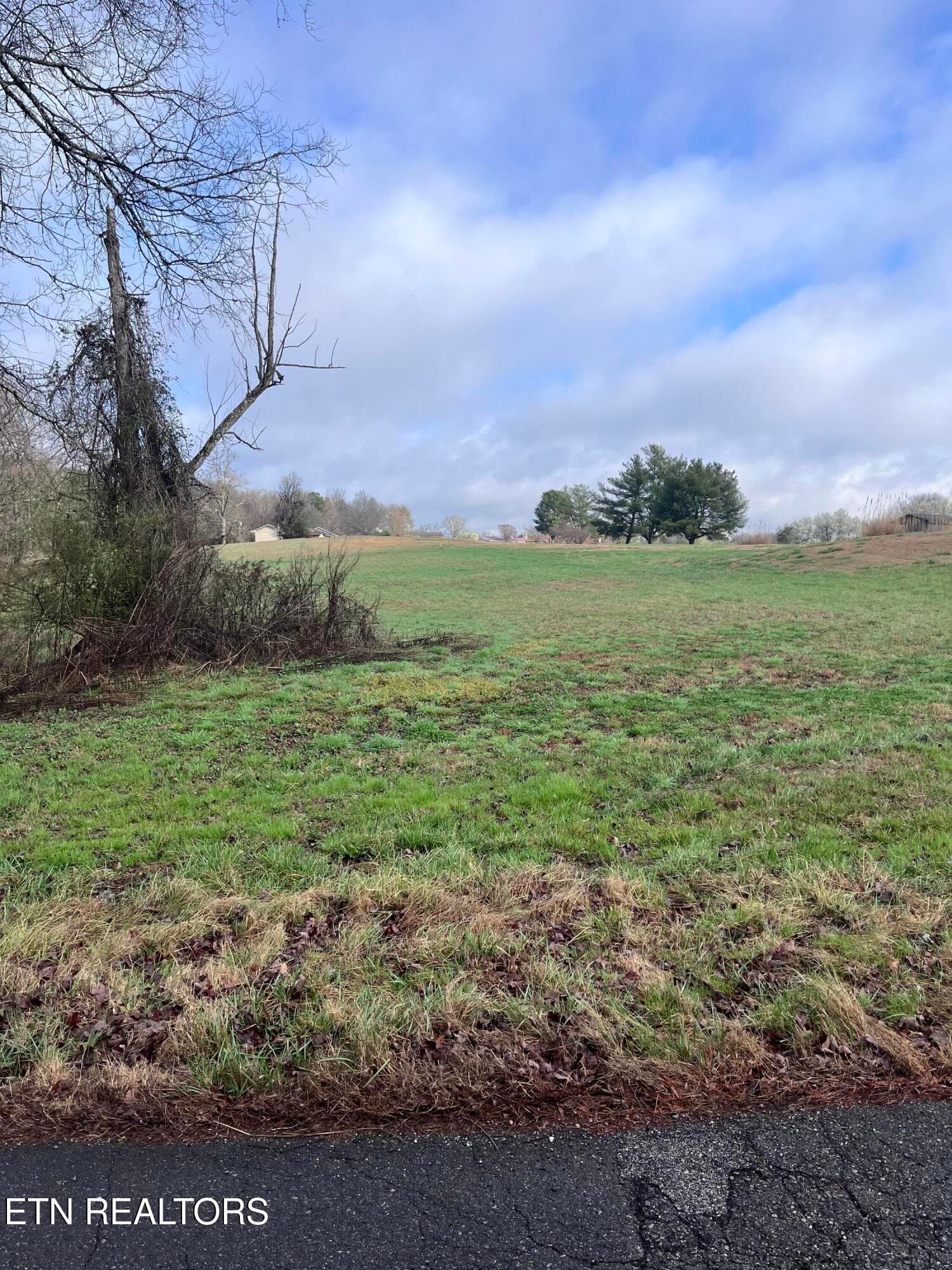 IMG_6432 - Mountain View Lane, Baneberry, TN 37890