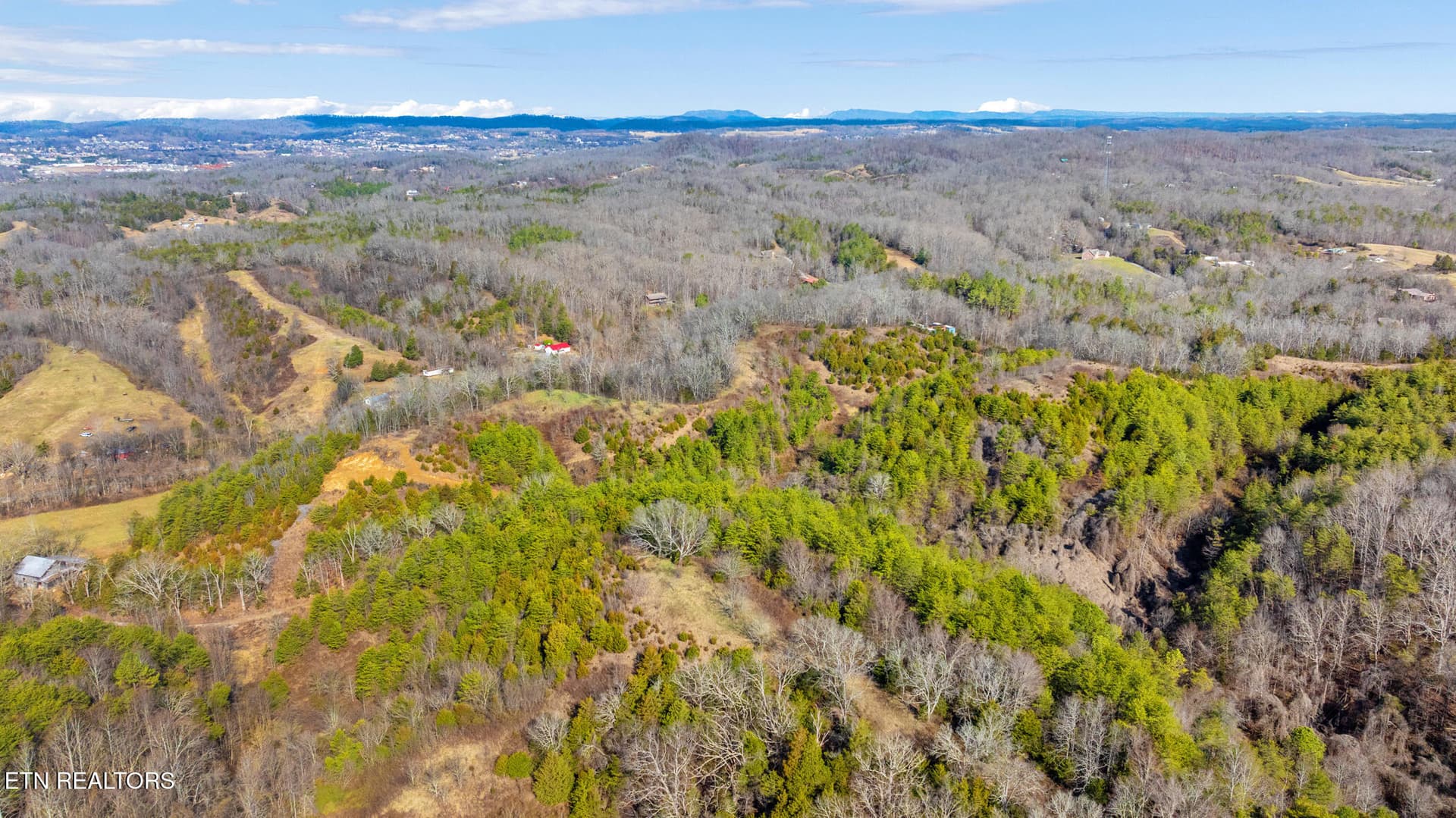 dji_20250207093101_0369_d - Wye Drive, Seymour, TN 37865