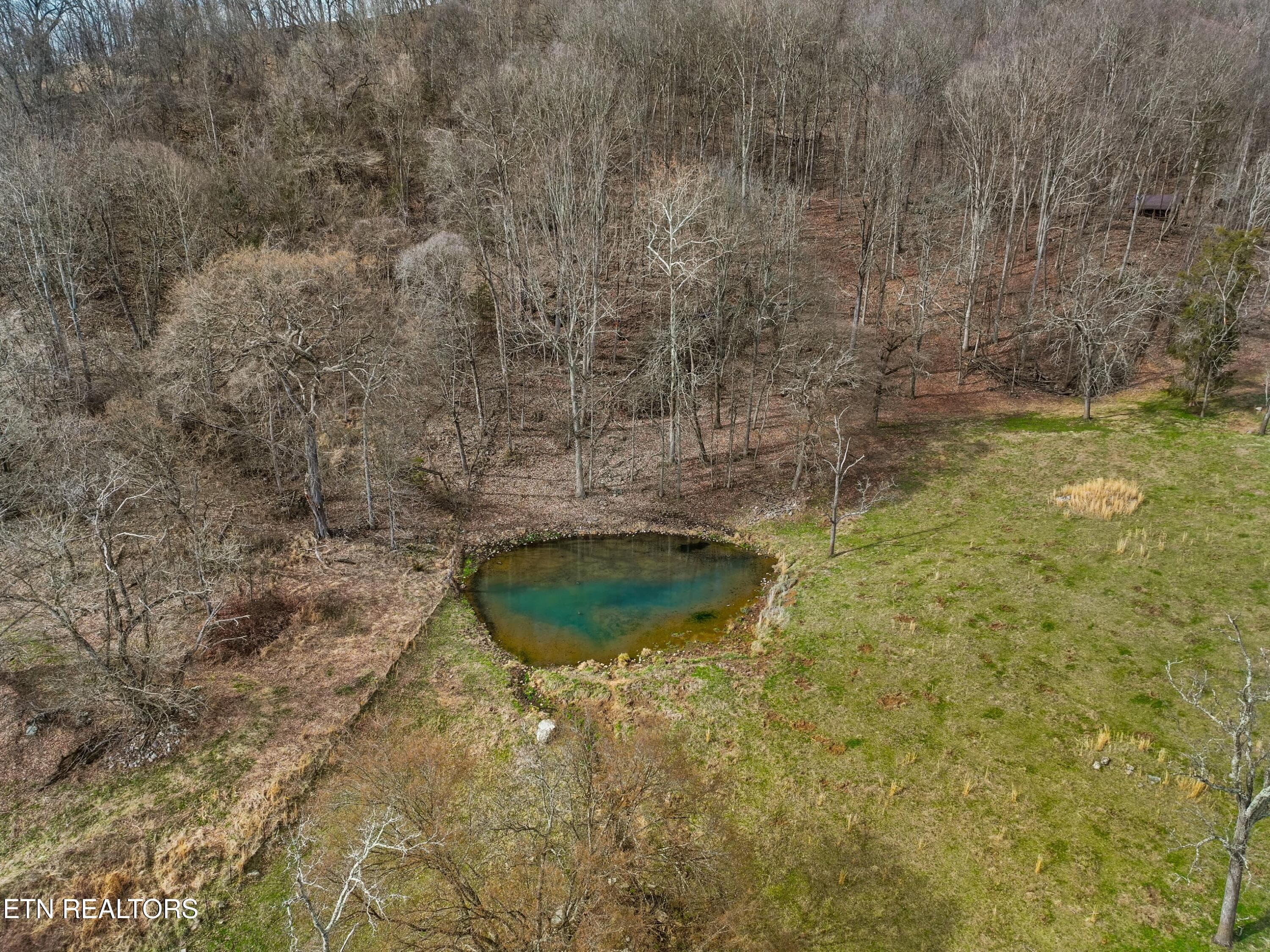 058-2218RebelHollowRoad-Tazewell-TN-3787 - 2218 Rebel Hollow Rd, Tazewell, TN 37879