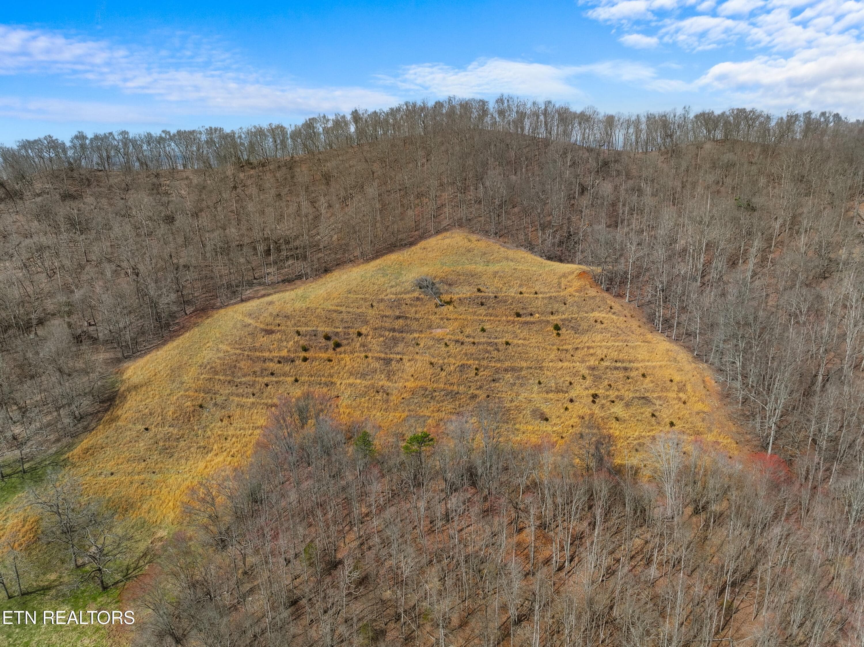 038-2218RebelHollowRoad-Tazewell-TN-3787 - 2218 Rebel Hollow Rd, Tazewell, TN 37879