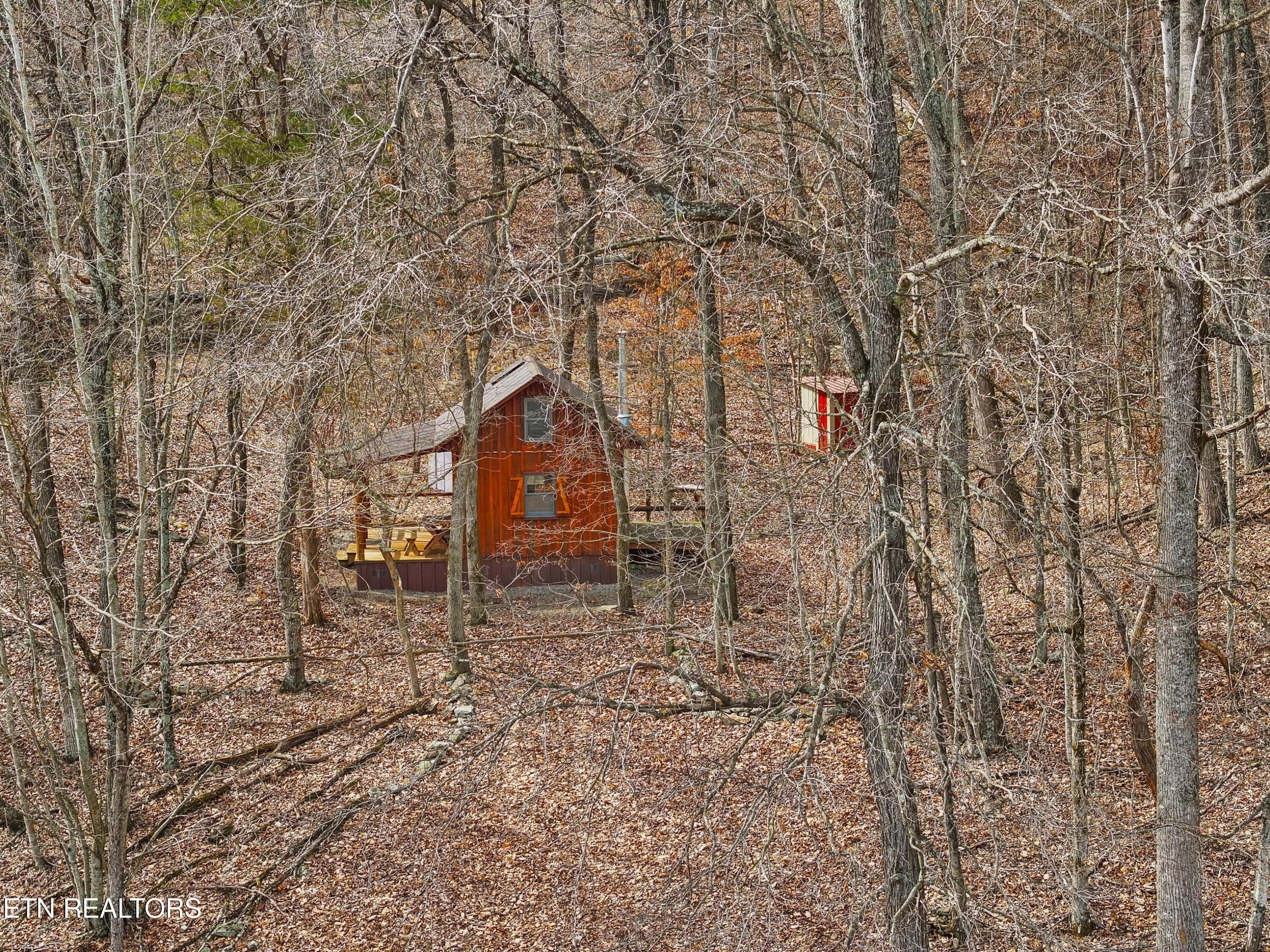 051-2218RebelHollowRoad-Tazewell-TN-3787 - 2218 Rebel Hollow Rd, Tazewell, TN 37879