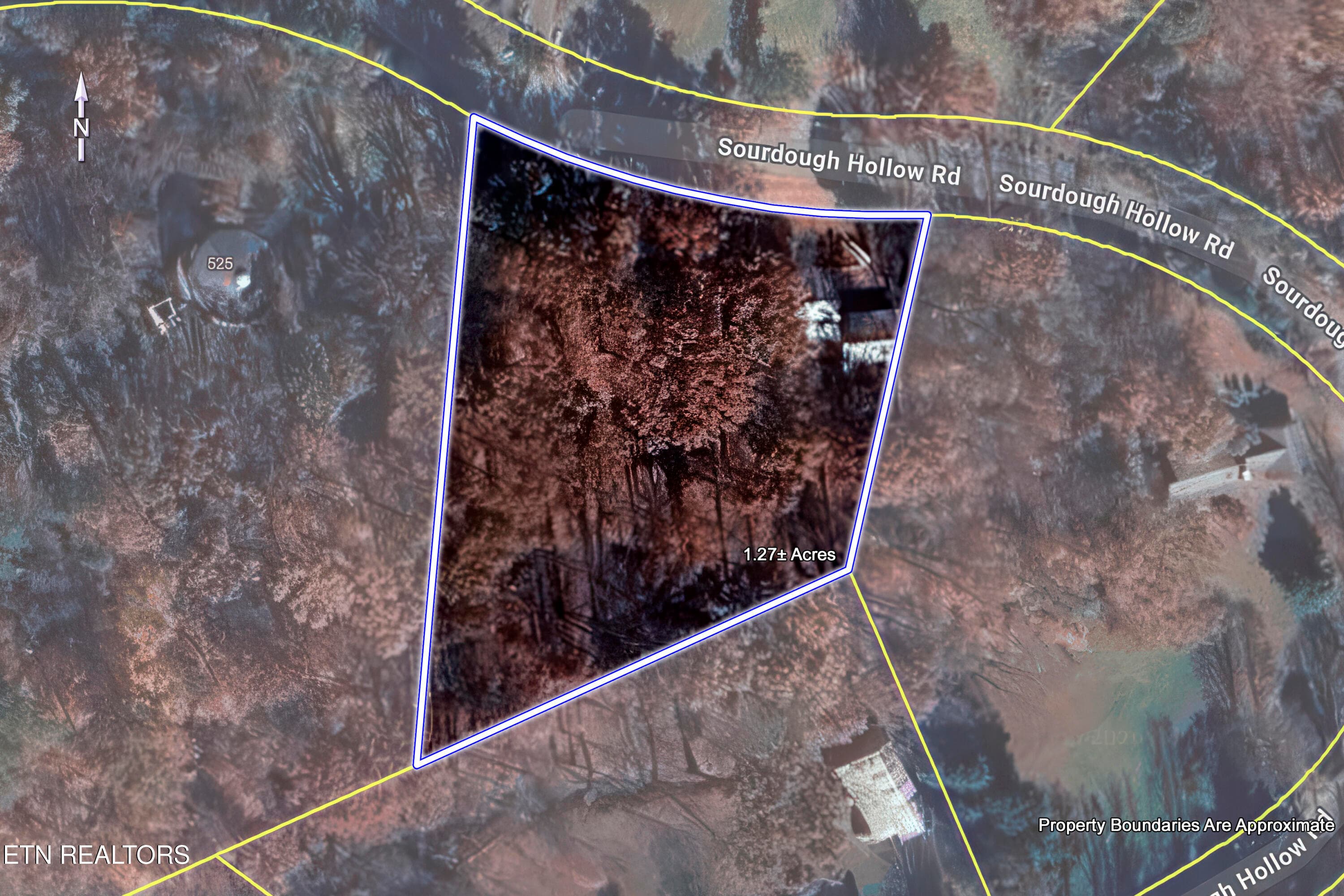 48_SourdoughHollowRoad_521_SatellitePlat - 521 Sourdough Hollow Rd, Kodak, TN 37764