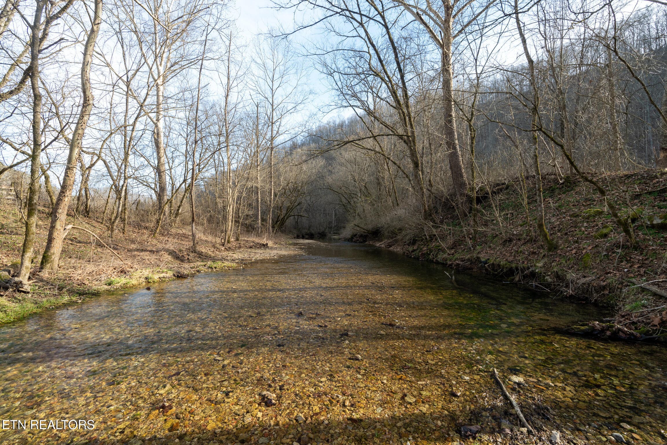 15.76 AC Keeling Branch Hwy, Whitleyville, TN 38588