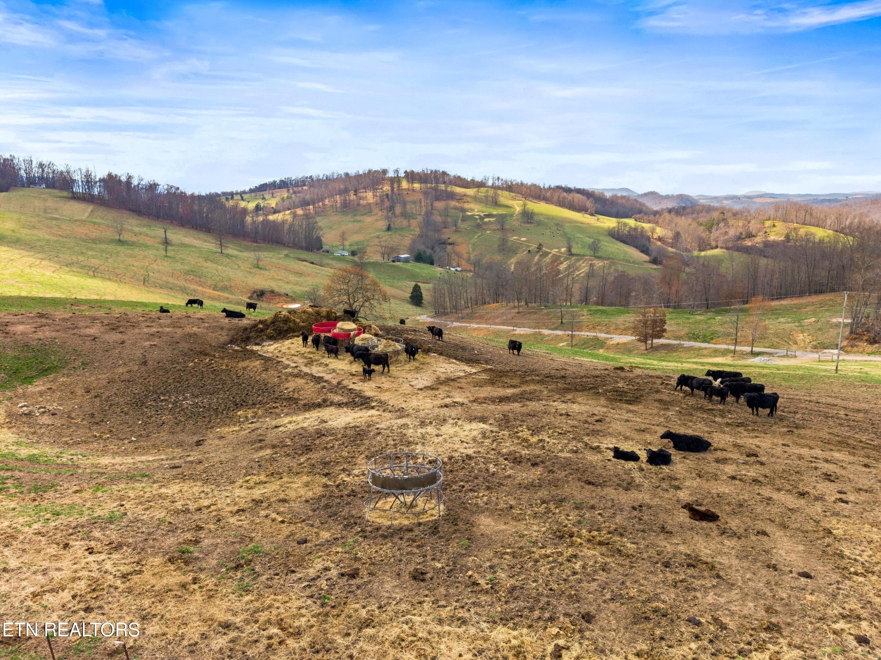008-BeechGroveRoad-60Acres-ThornHill-TN- - Beech Grove Rd, Thorn Hill, TN 37881