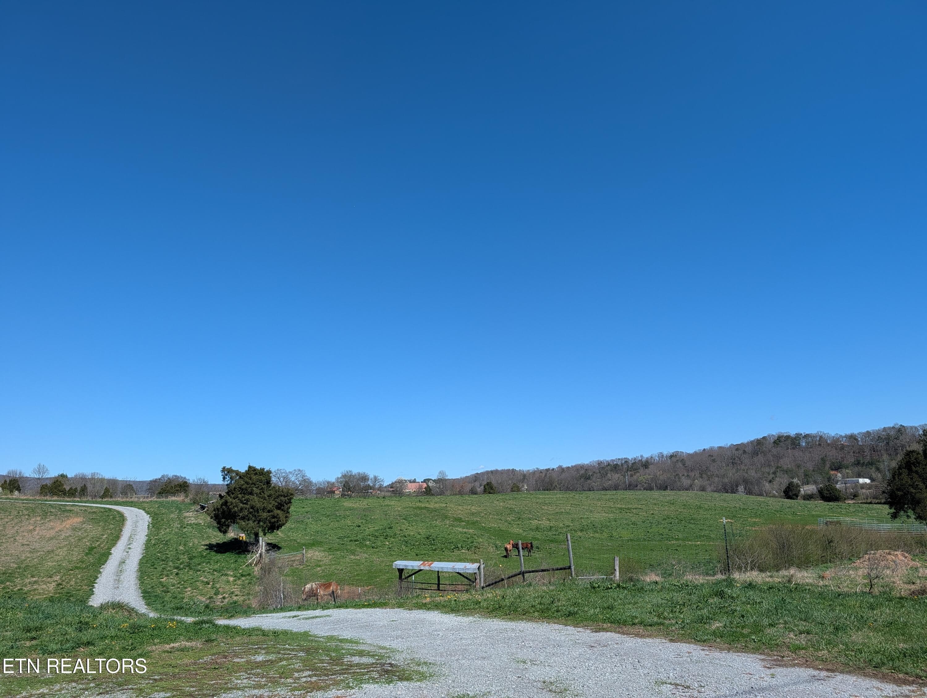 PXL_20260312_183659301 - 4637 Ideal Valley Rd, Spring City, TN 37381, Spring City