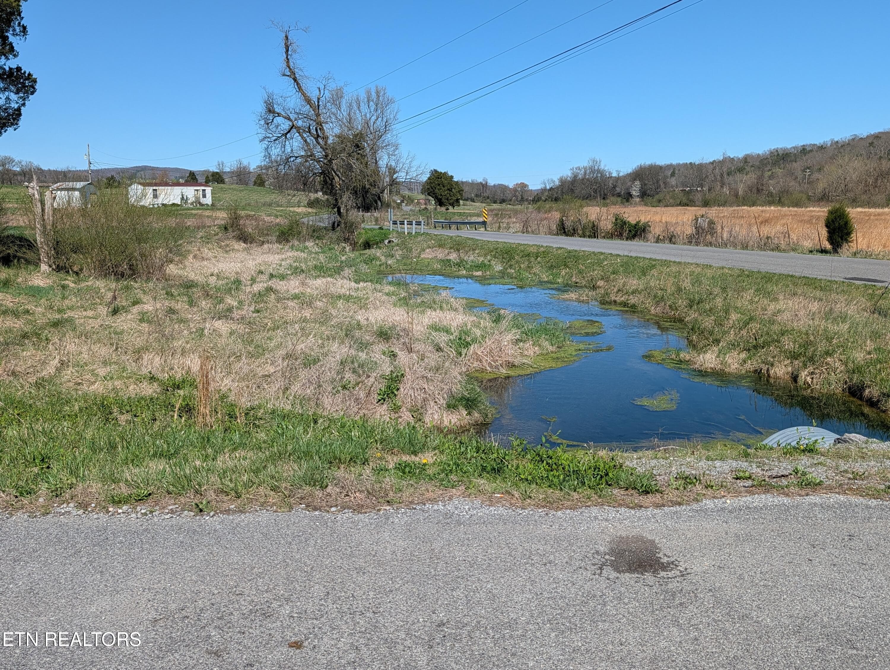 PXL_20260312_184531771 - 4637 Ideal Valley Rd, Spring City, TN 37381, Spring City