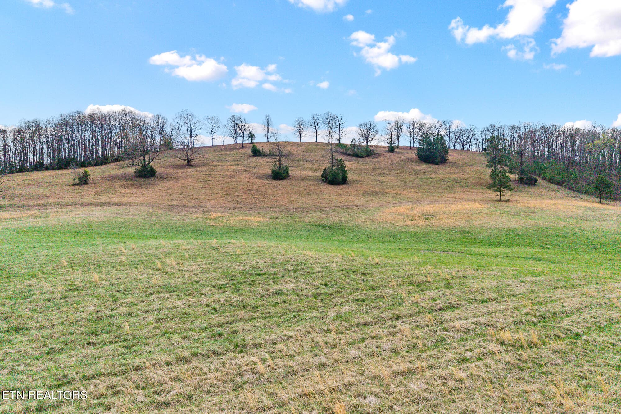 Land on Nopone-11 - Lot 4 N Nopone Valley Rd, Decatur, TN 37322