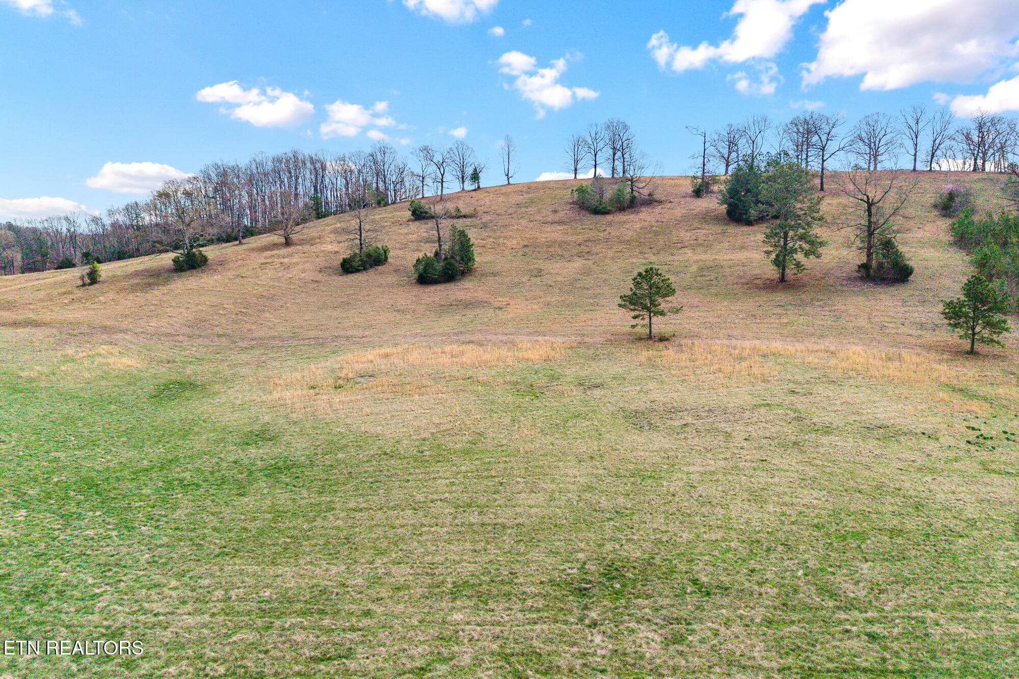 Land on Nopone-14 - Lot 5 N Nopone Valley Rd, Decatur, TN 37322