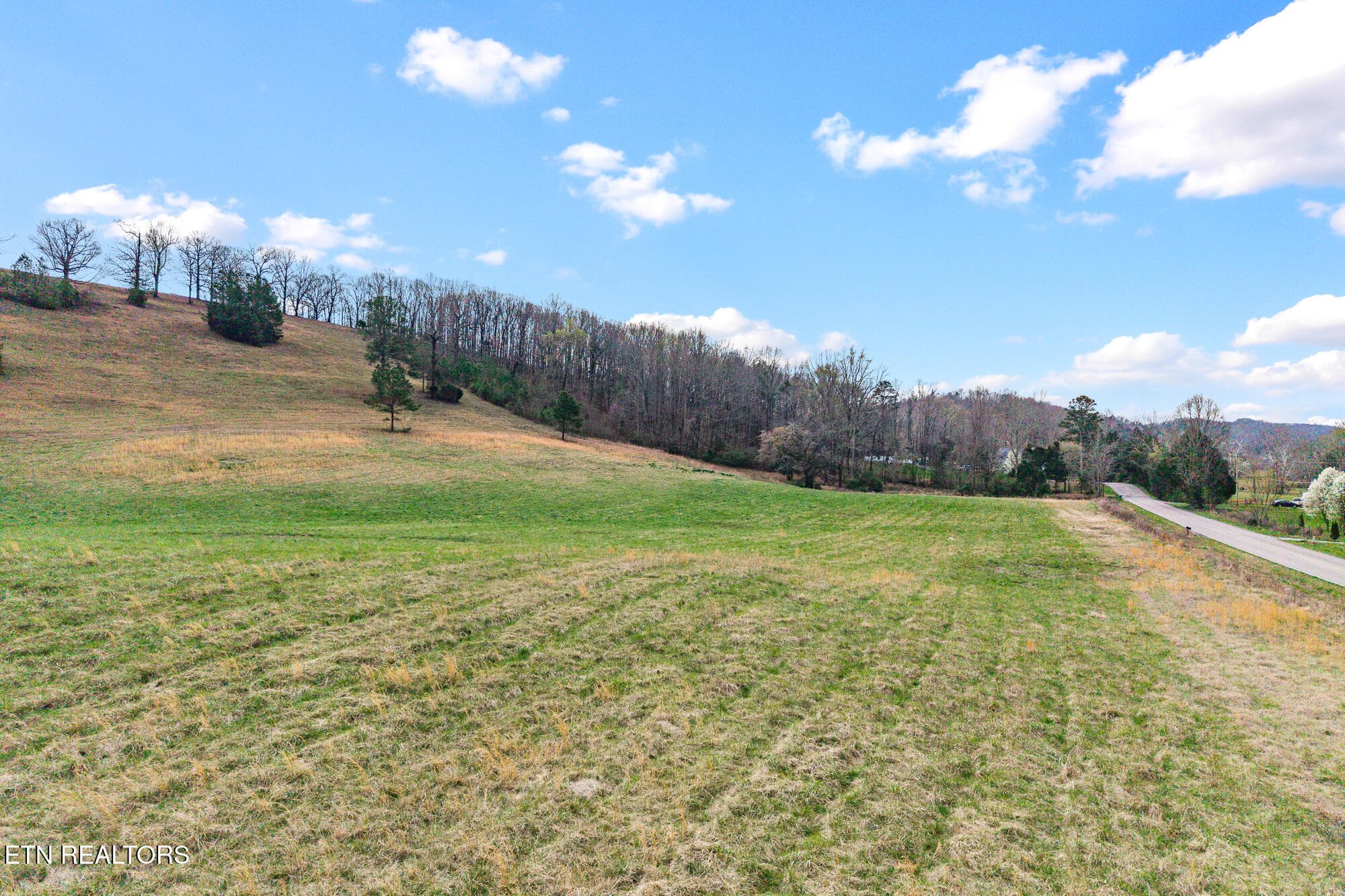 Land on Nopone-10 - Lot 8 N Nopone Valley Rd, Decatur, TN 37322