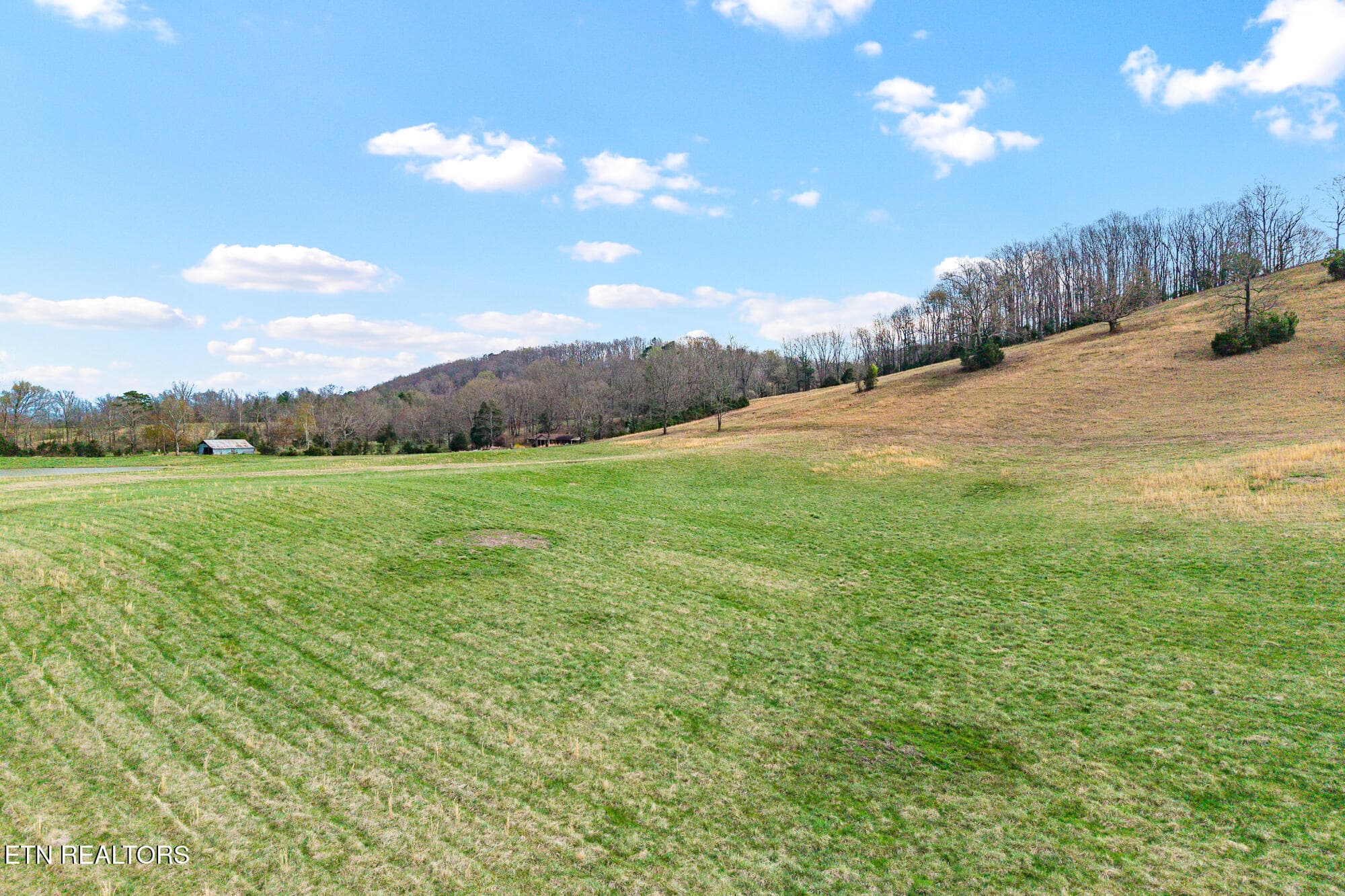 Land on Nopone-15 - Lot 8 N Nopone Valley Rd, Decatur, TN 37322