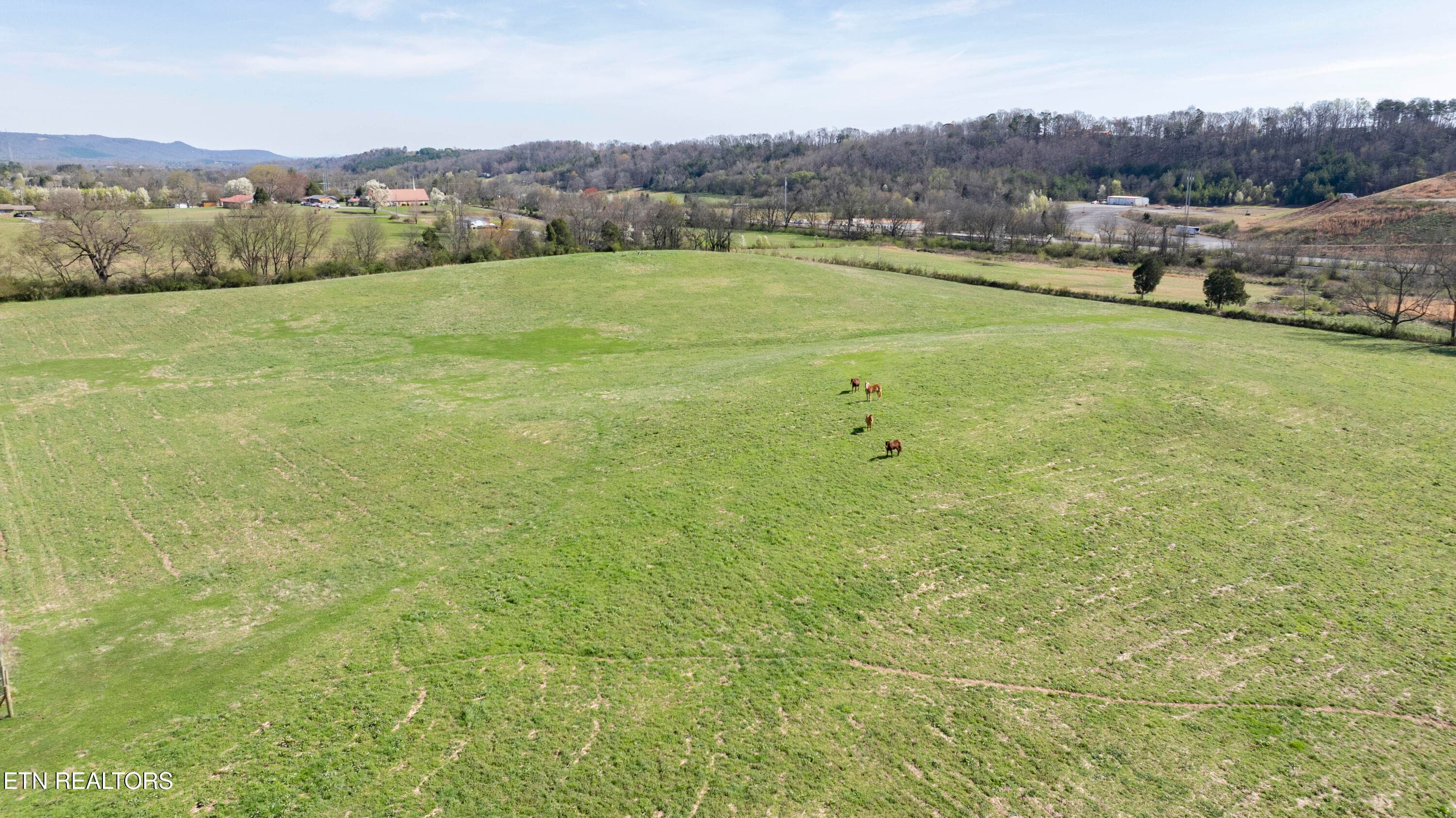 16 - 4637 Ideal Valley Rd, Spring City, TN 37381, Spring City