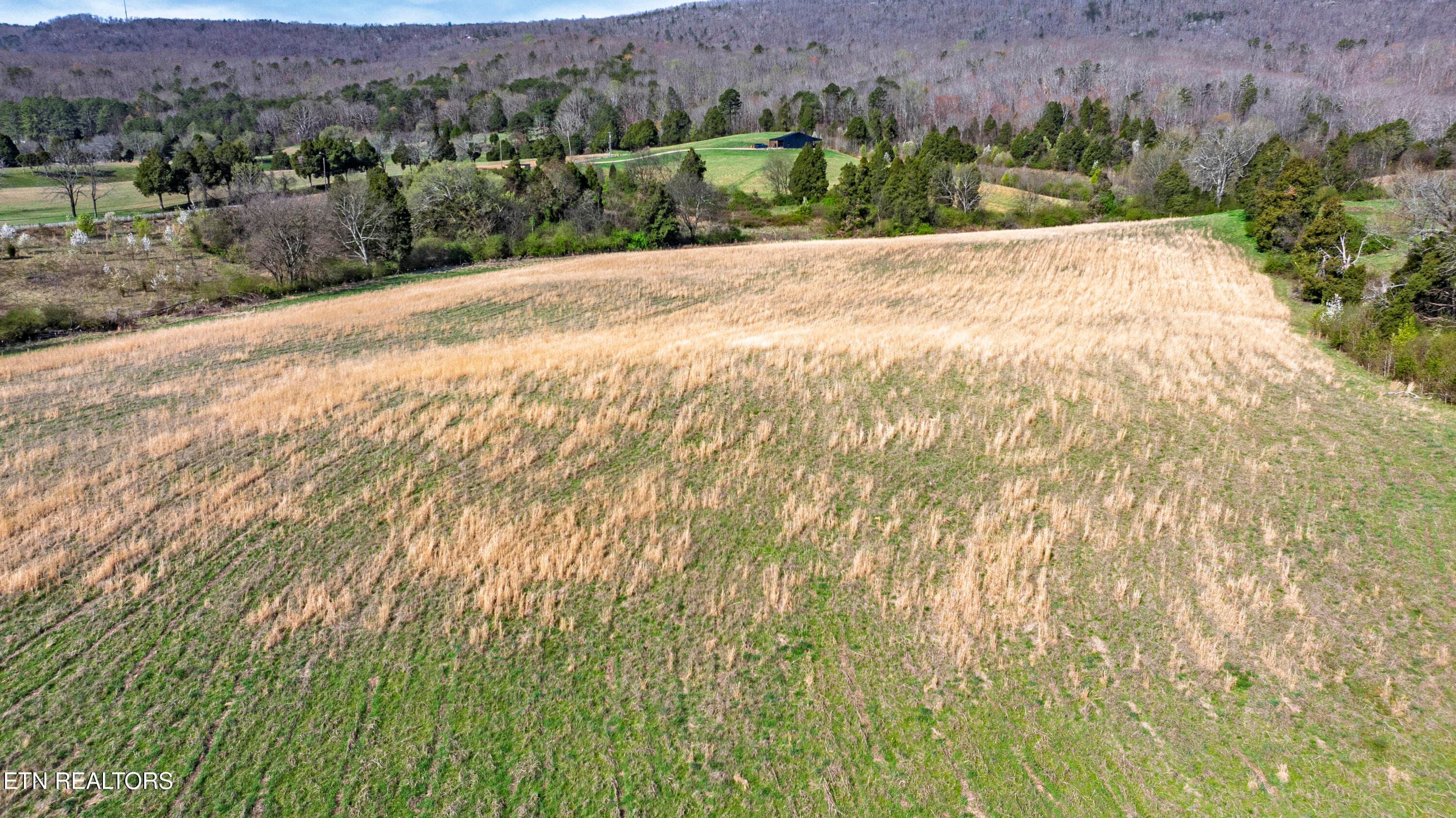 08 - 4637 Ideal Valley Rd, Spring City, TN 37381, Spring City