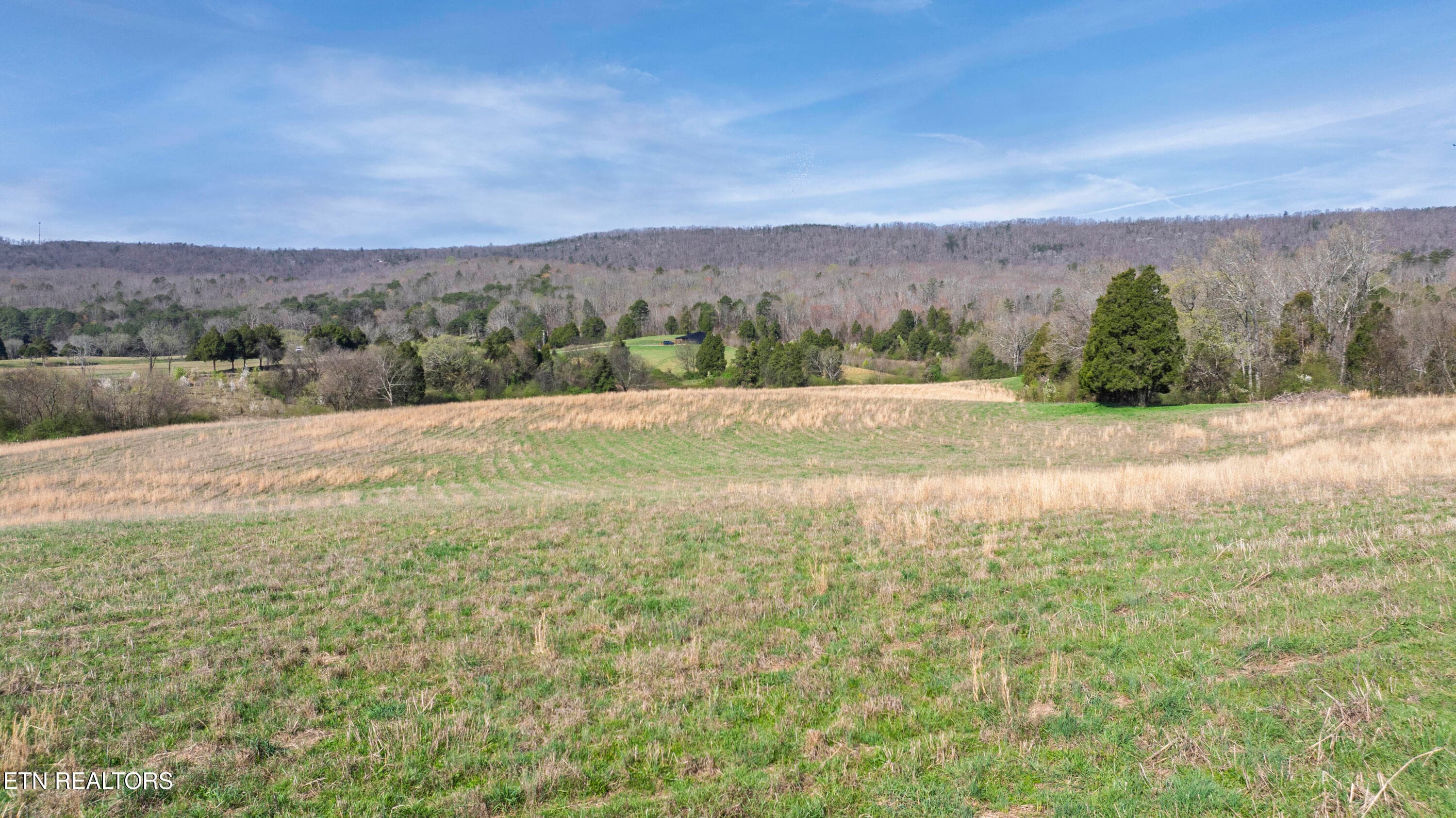 06 - 4637 Ideal Valley Rd, Spring City, TN 37381, Spring City