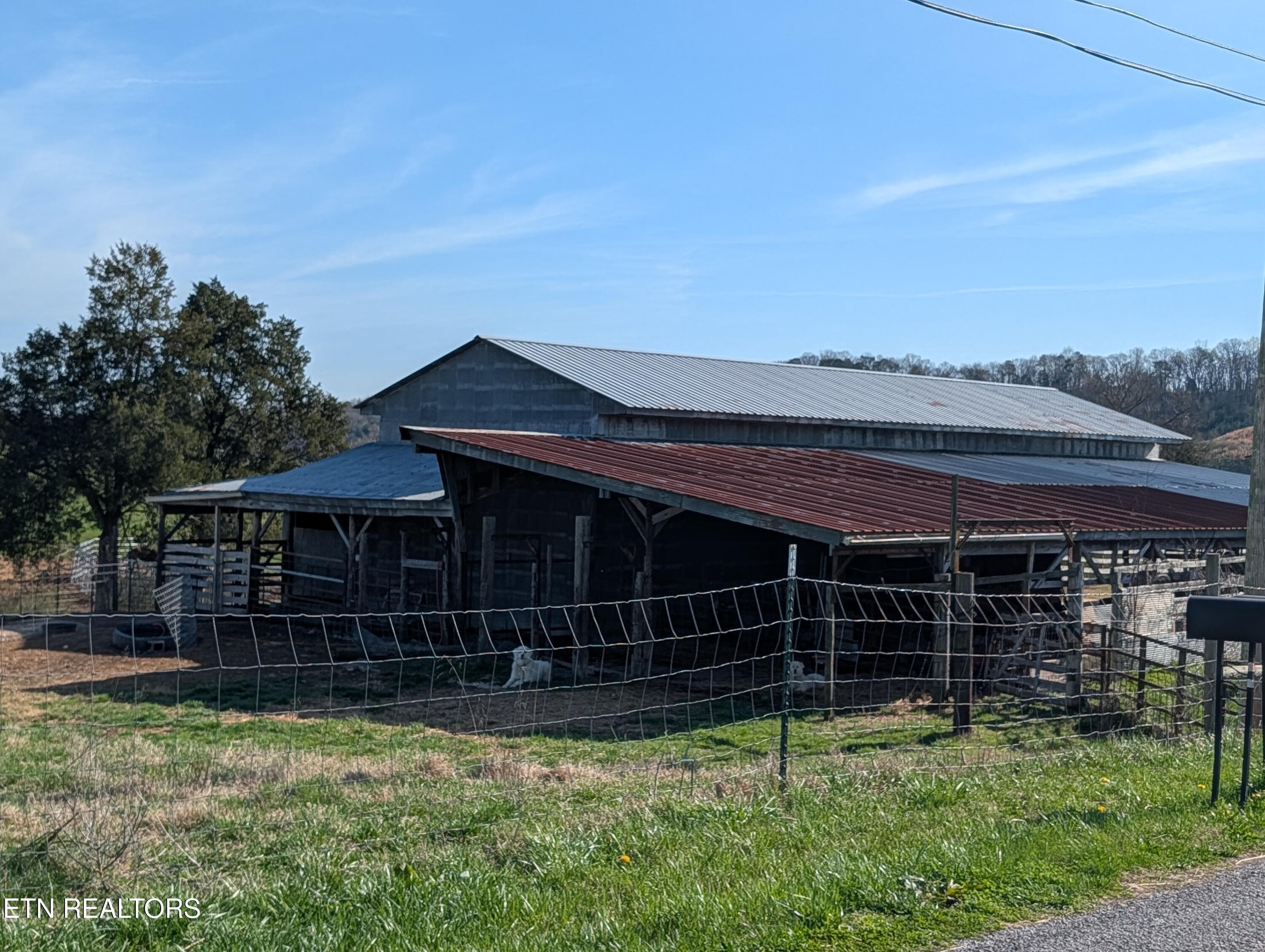 PXL_20260314_145656173 - 4637 Ideal Valley Rd, Spring City, TN 37381, Spring City