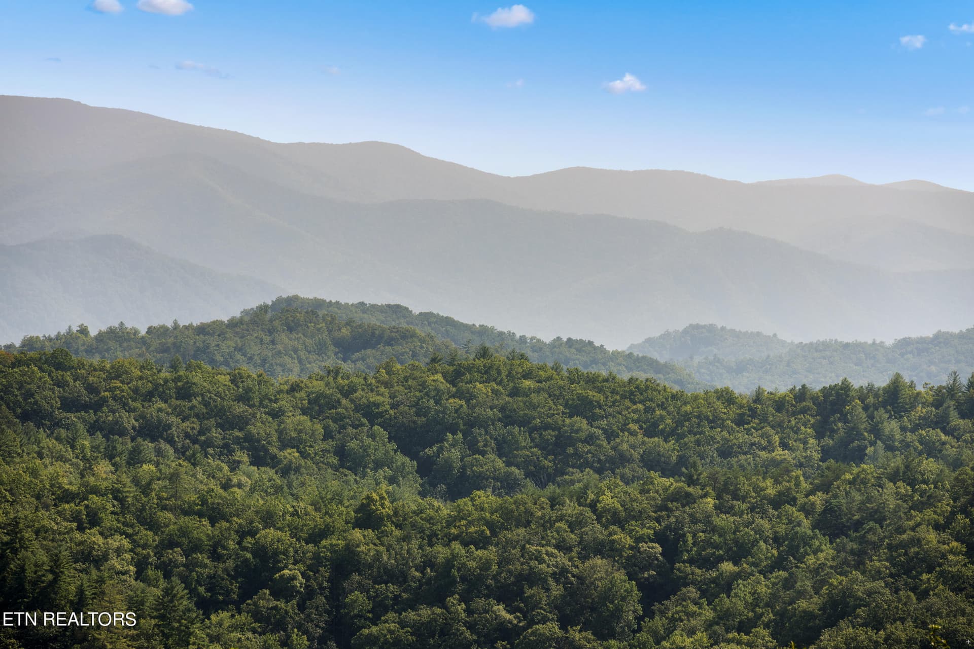 Positive Perceptions-16 - 1424 Rocky Top Way, Townsend, TN 37882