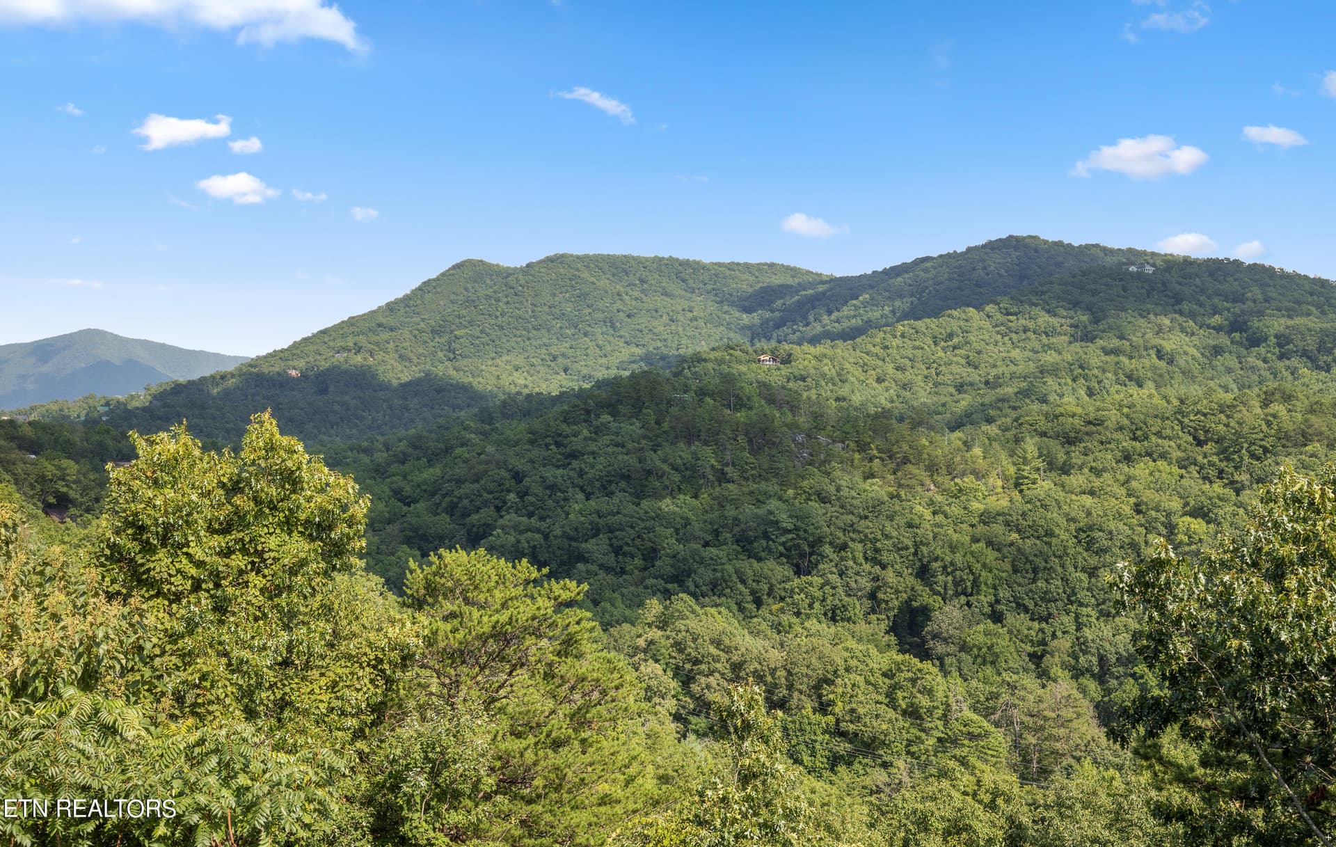 Positive Perceptions-32 - 1424 Rocky Top Way, Townsend, TN 37882