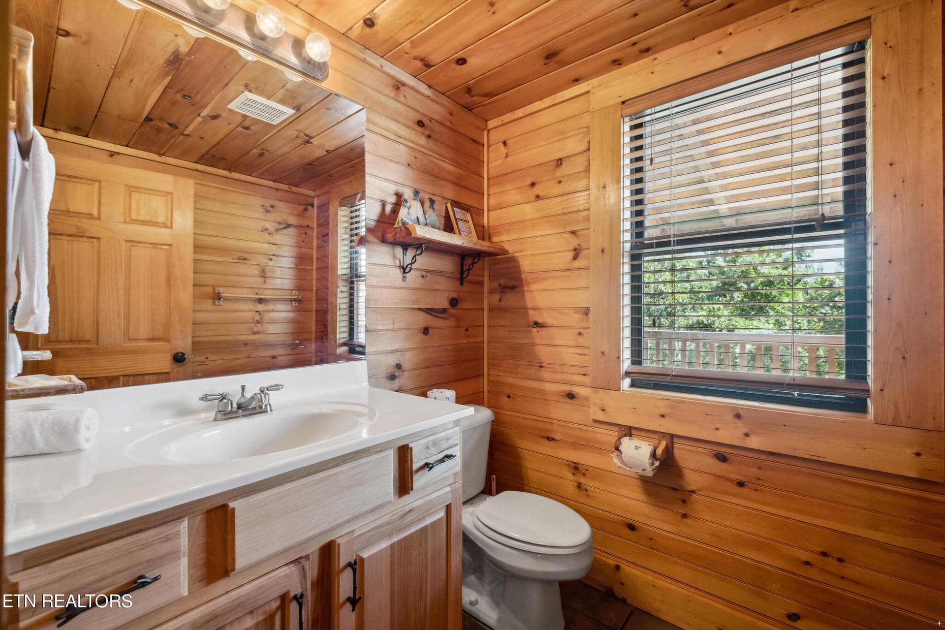 Positive Perceptions-18 - 1424 Rocky Top Way, Townsend, TN 37882