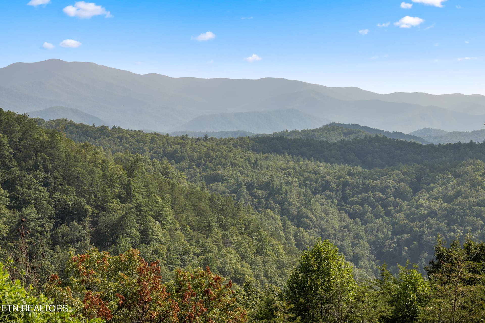 Positive Perceptions-53 - 1424 Rocky Top Way, Townsend, TN 37882