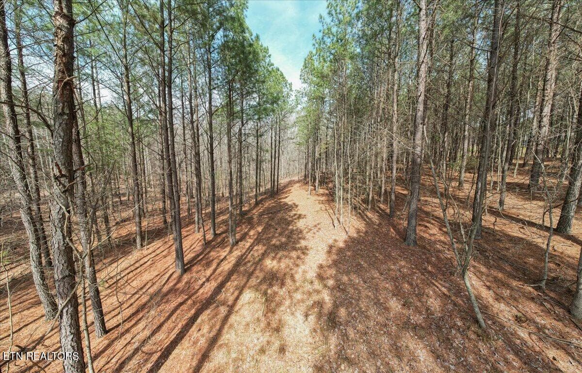 12-DJI_0487 (2) - Waterwheel Way #342, Jasper, TN 37347