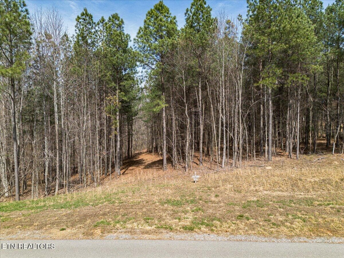 15-DJI_0997 (2) - Waterwheel Way #342, Jasper, TN 37347