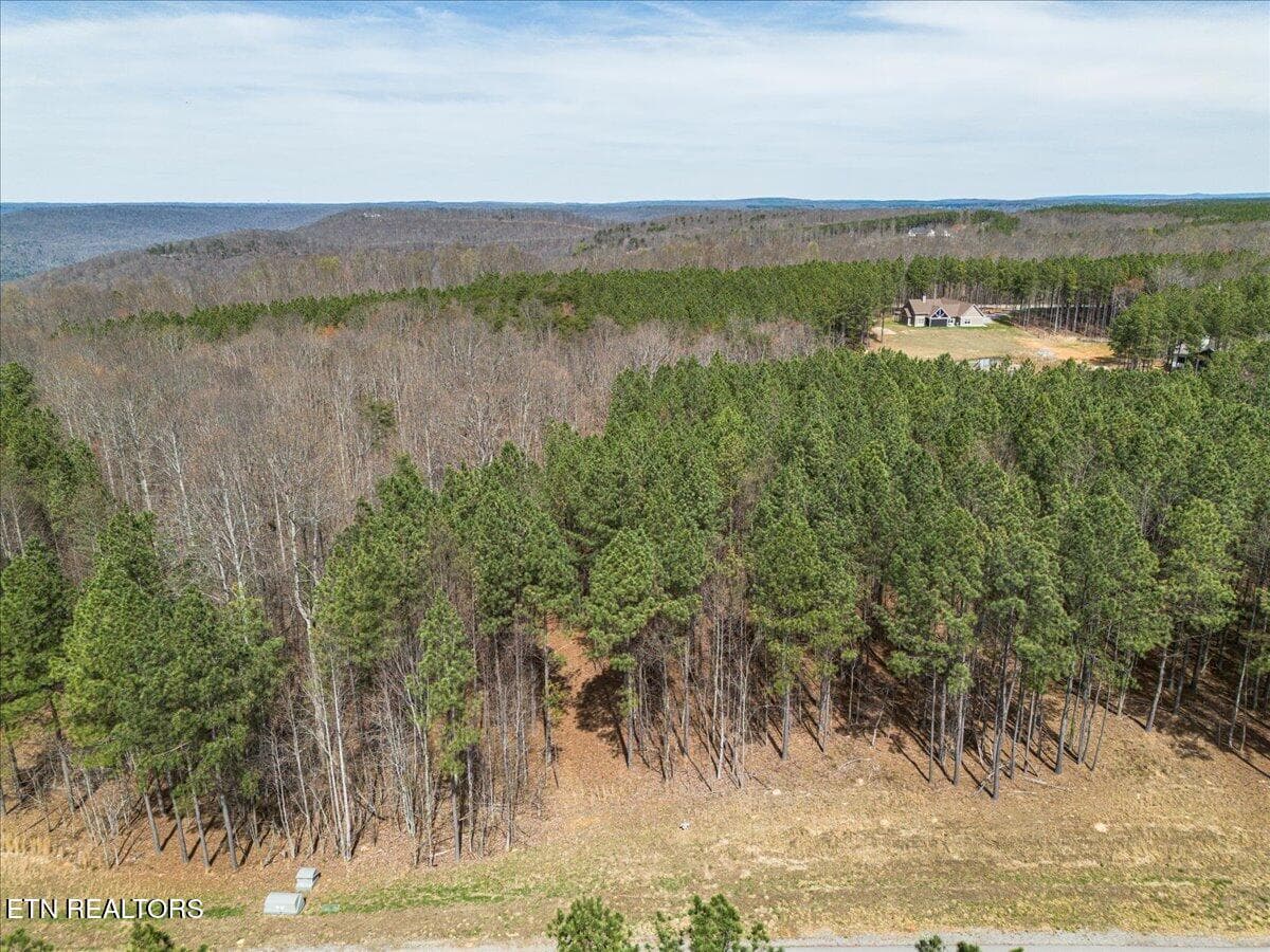 16-DJI_0998 (2) - Waterwheel Way #342, Jasper, TN 37347