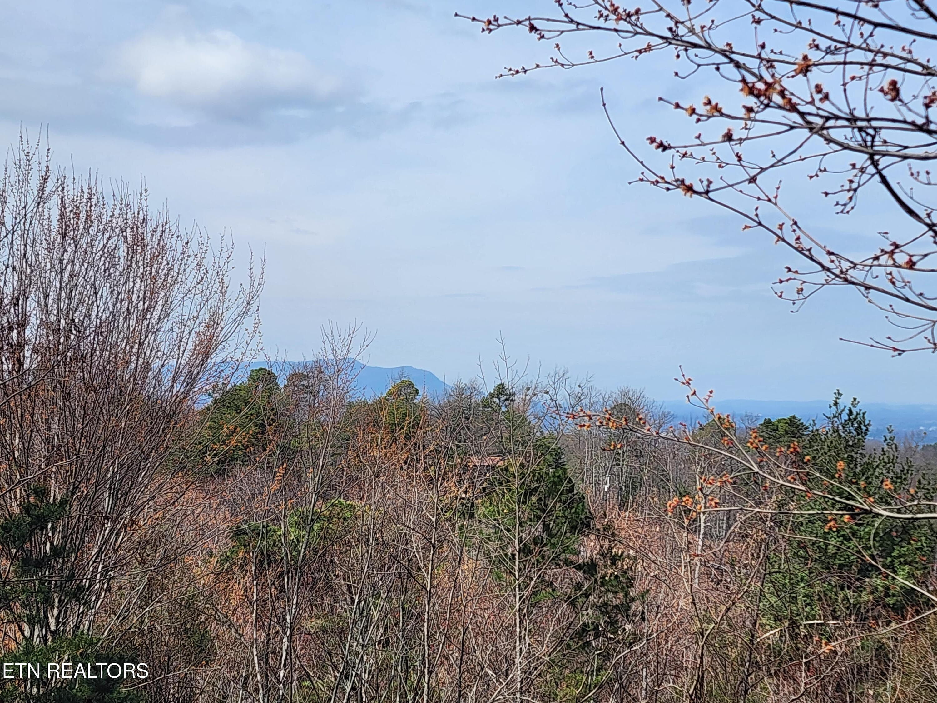 unnamed - 2134 Walnut Court, Sevierville, TN 37876