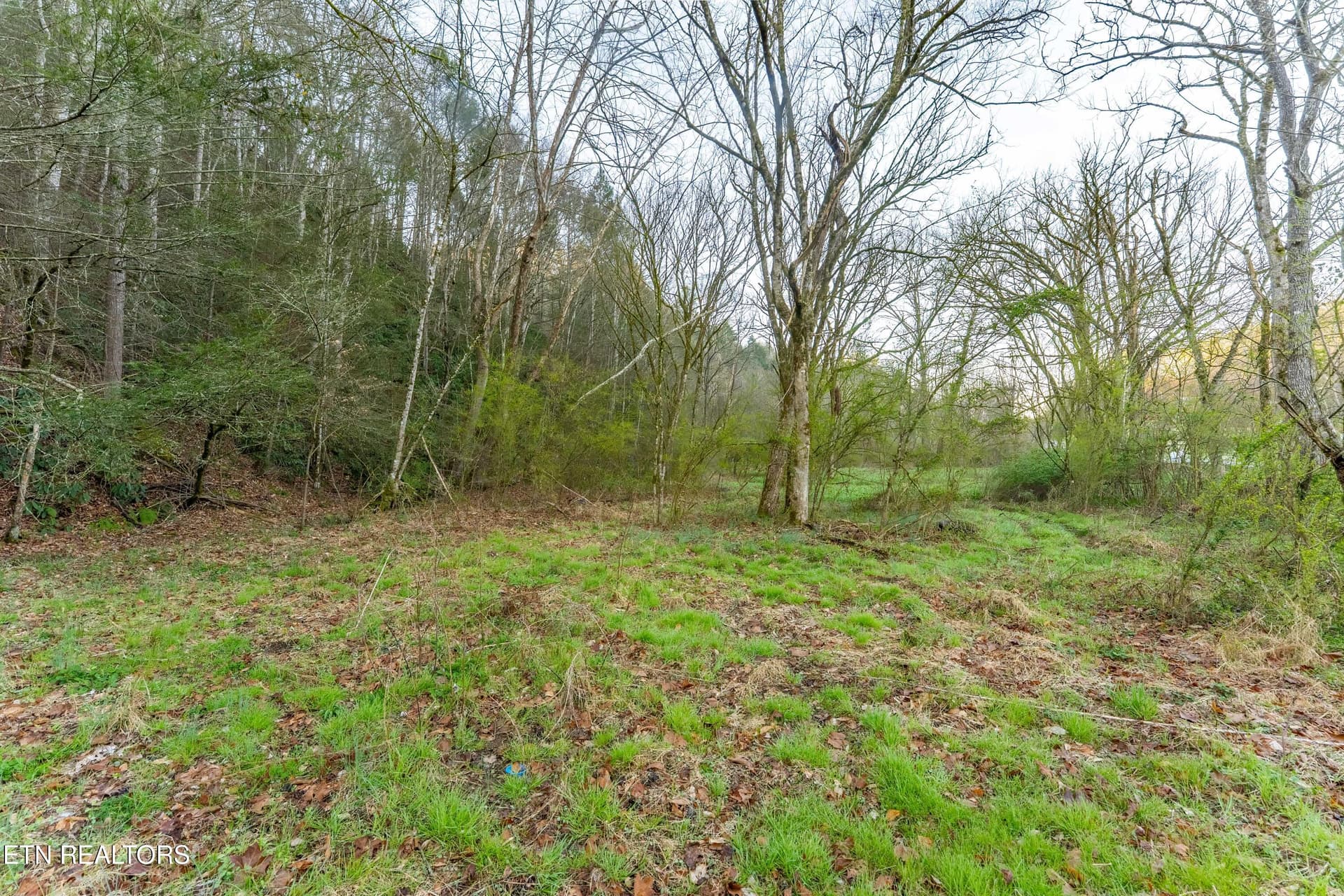 Bogard Rd, Cosby, TN 37722