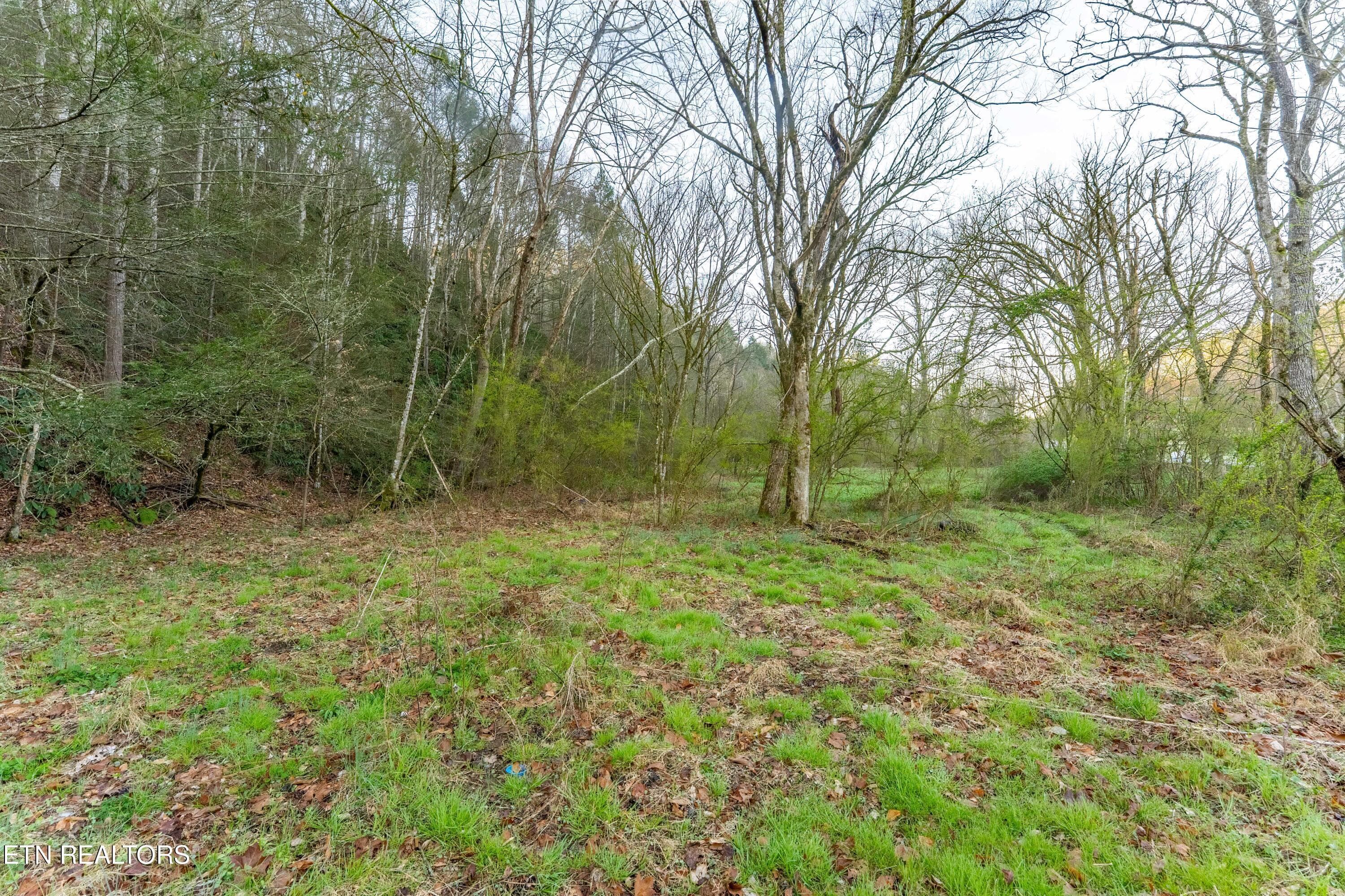 Bogard Rd, Cosby, TN 37722