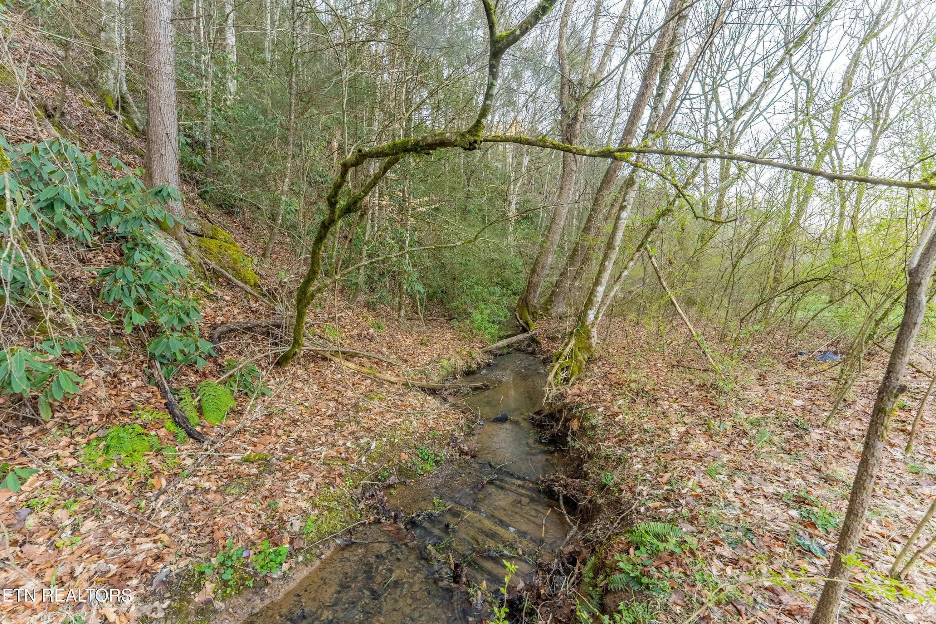 _DSC0035-HDR-Edit - Bogard Rd, Cosby, TN 37722