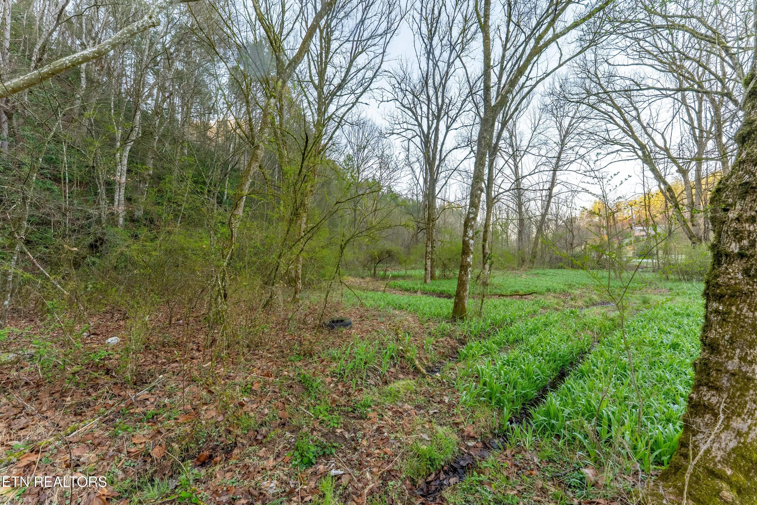 _DSC0038-HDR-Edit - Bogard Rd, Cosby, TN 37722