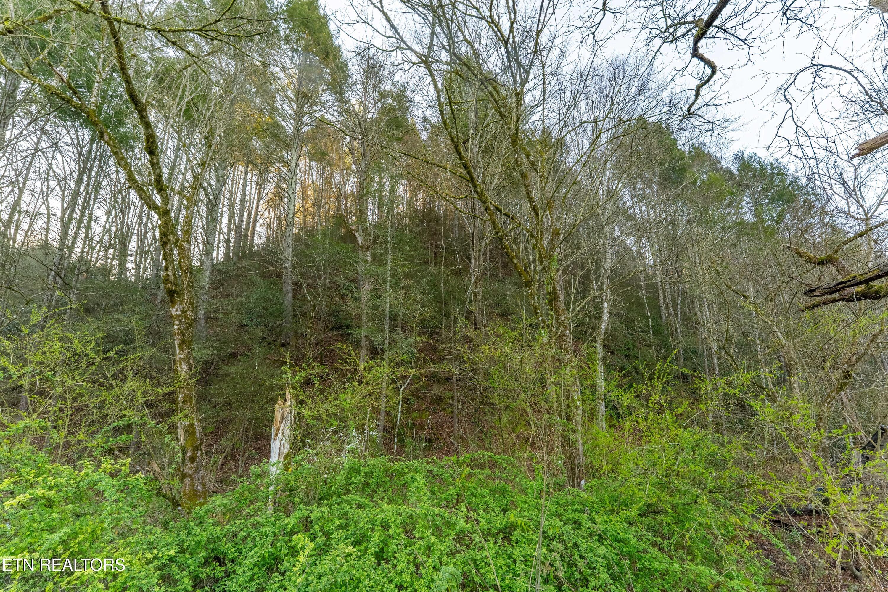 _DSC0041-HDR-Edit - Bogard Rd, Cosby, TN 37722