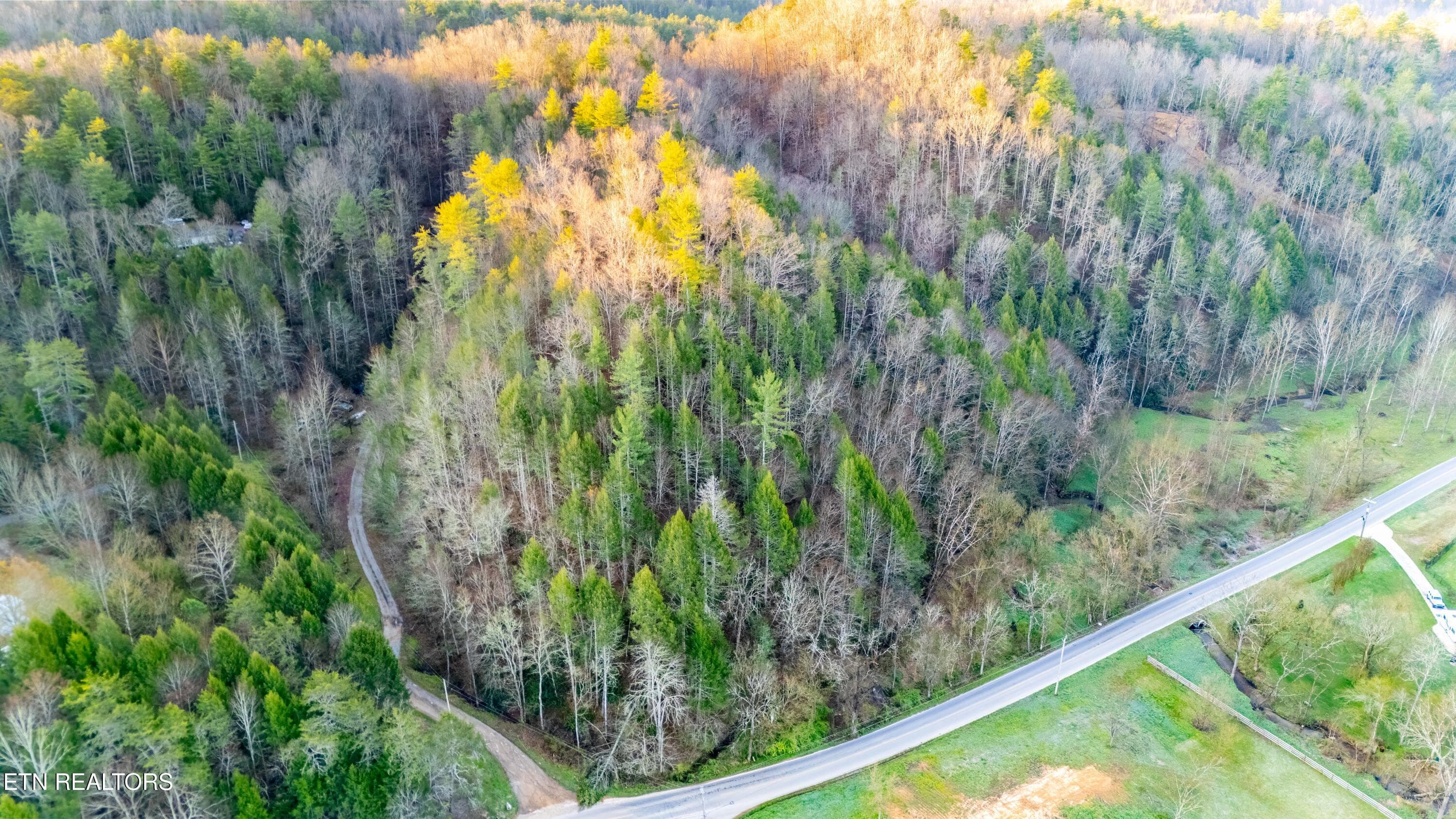 DJI_20260320080650_0479_D-HDR-Edit - Bogard Rd, Cosby, TN 37722